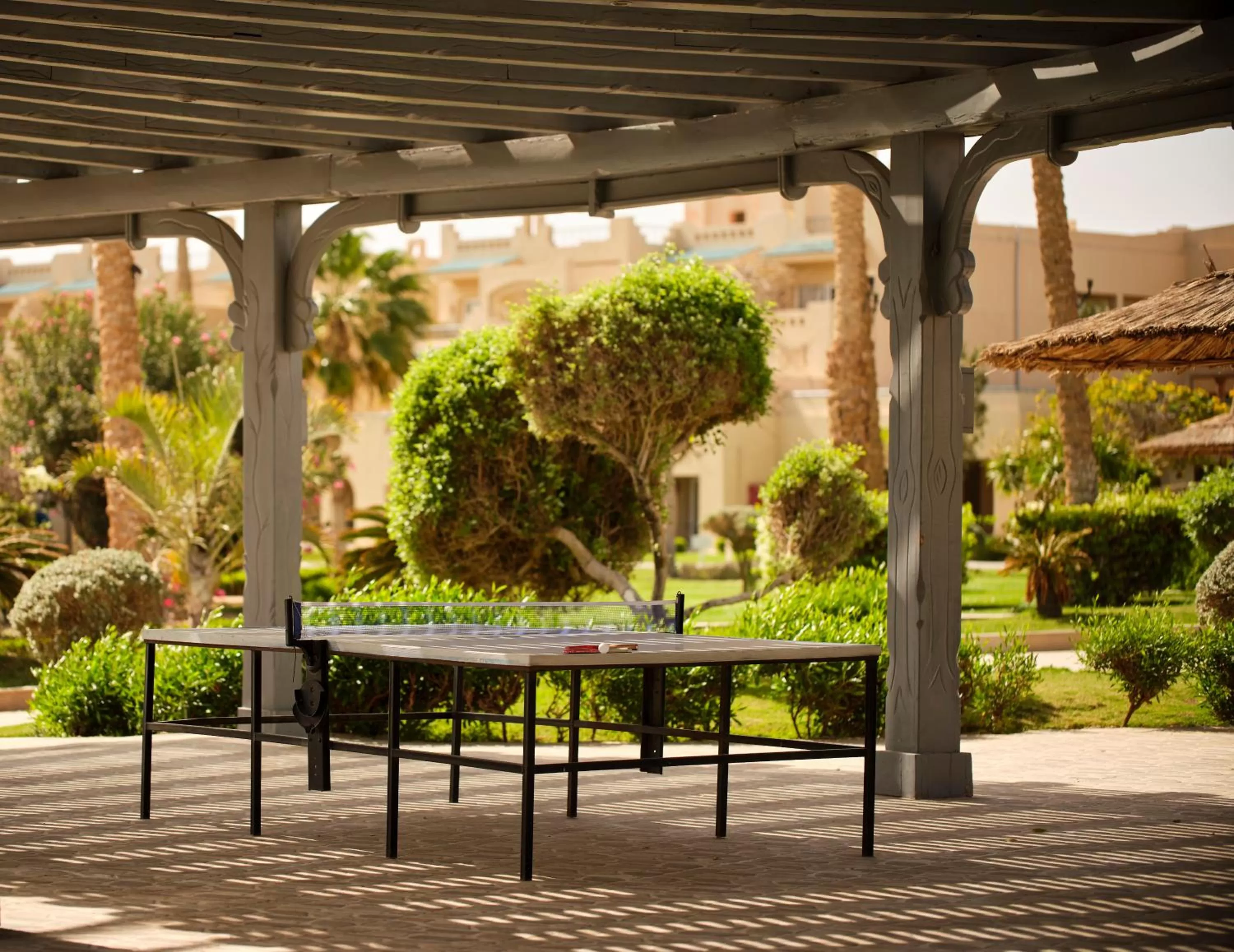 Sports in Coral Sea Waterworld Sharm El Sheikh