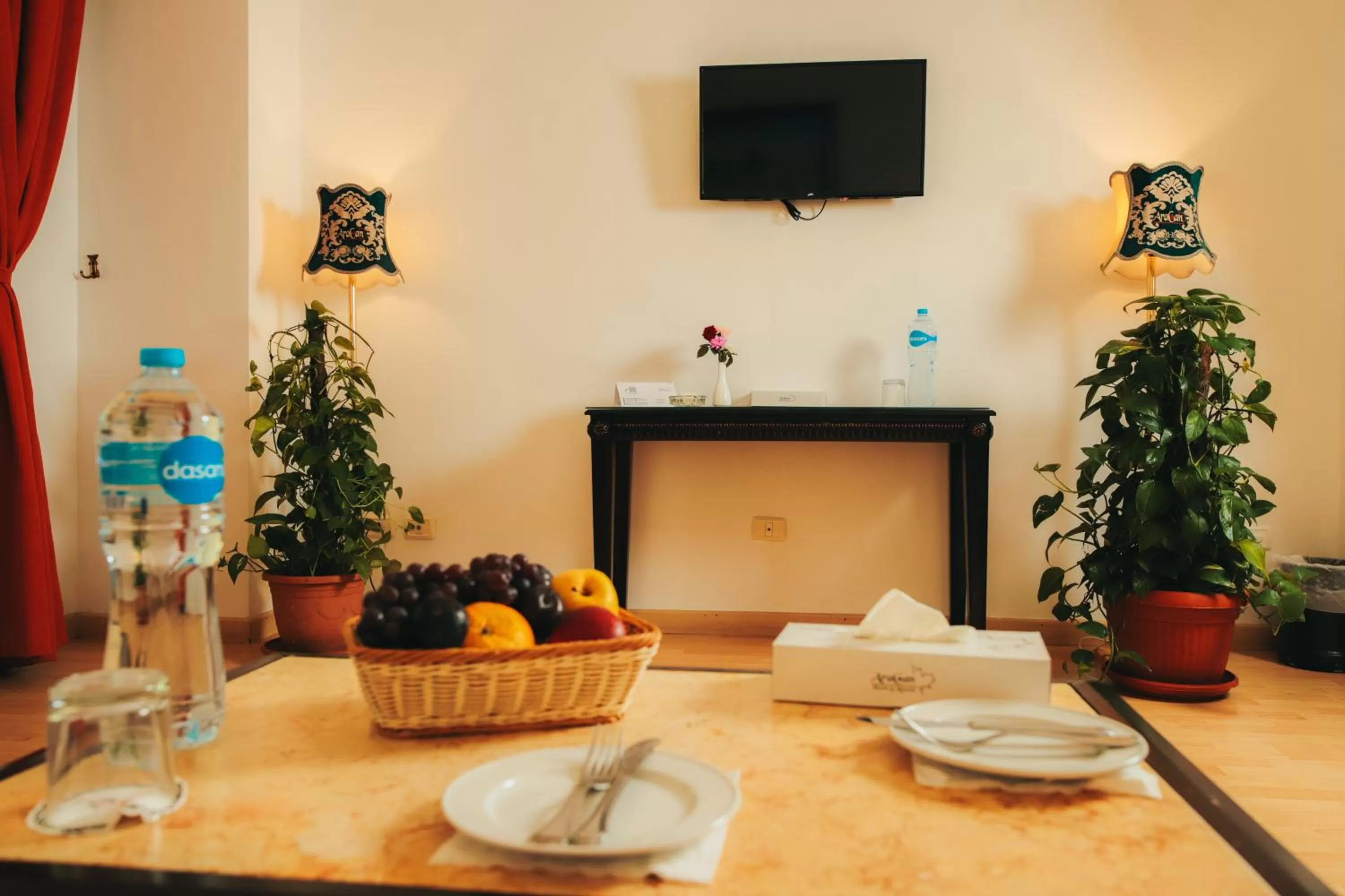 TV and multimedia in Aracan Portsaid