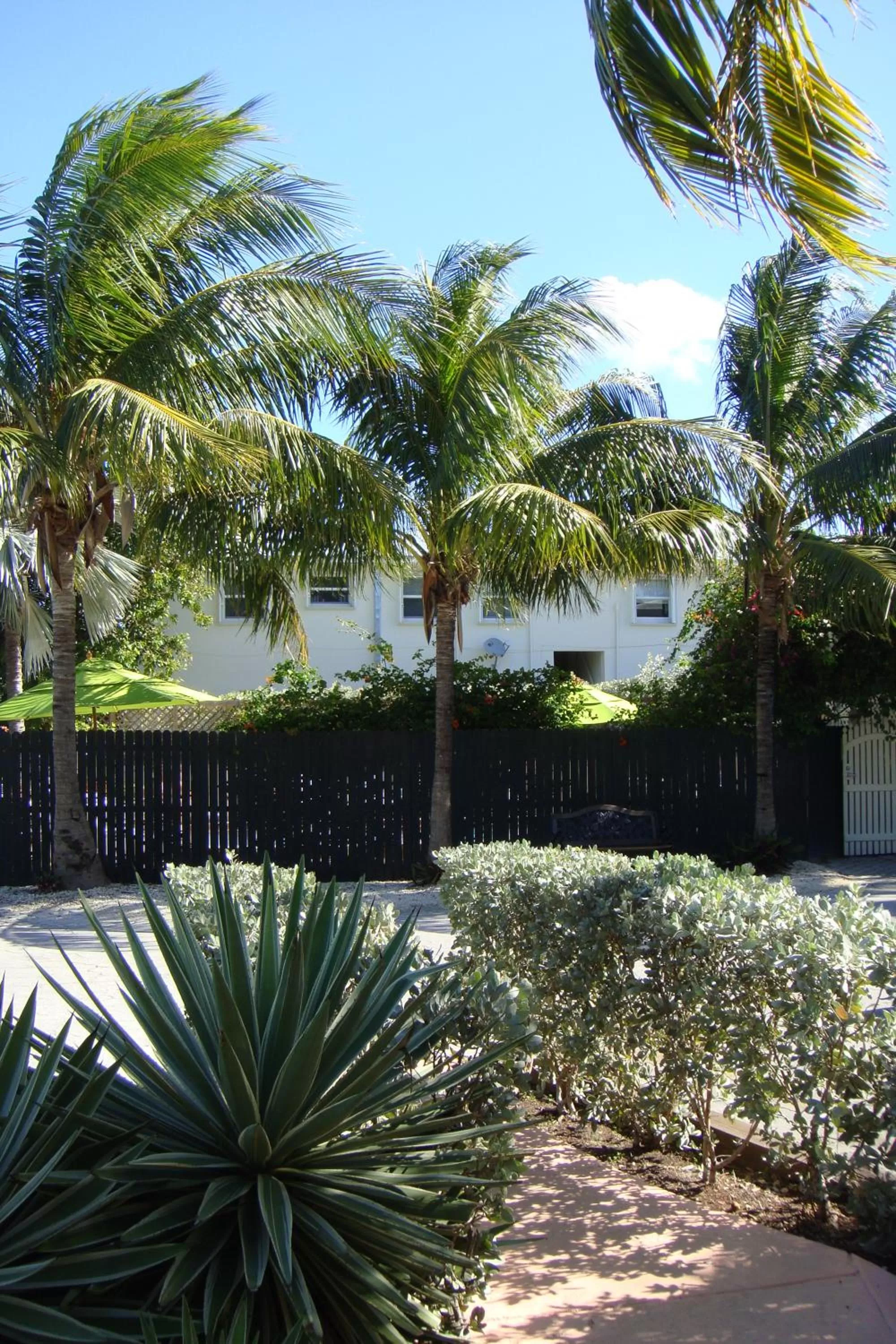 Facade/entrance in El Patio Motel