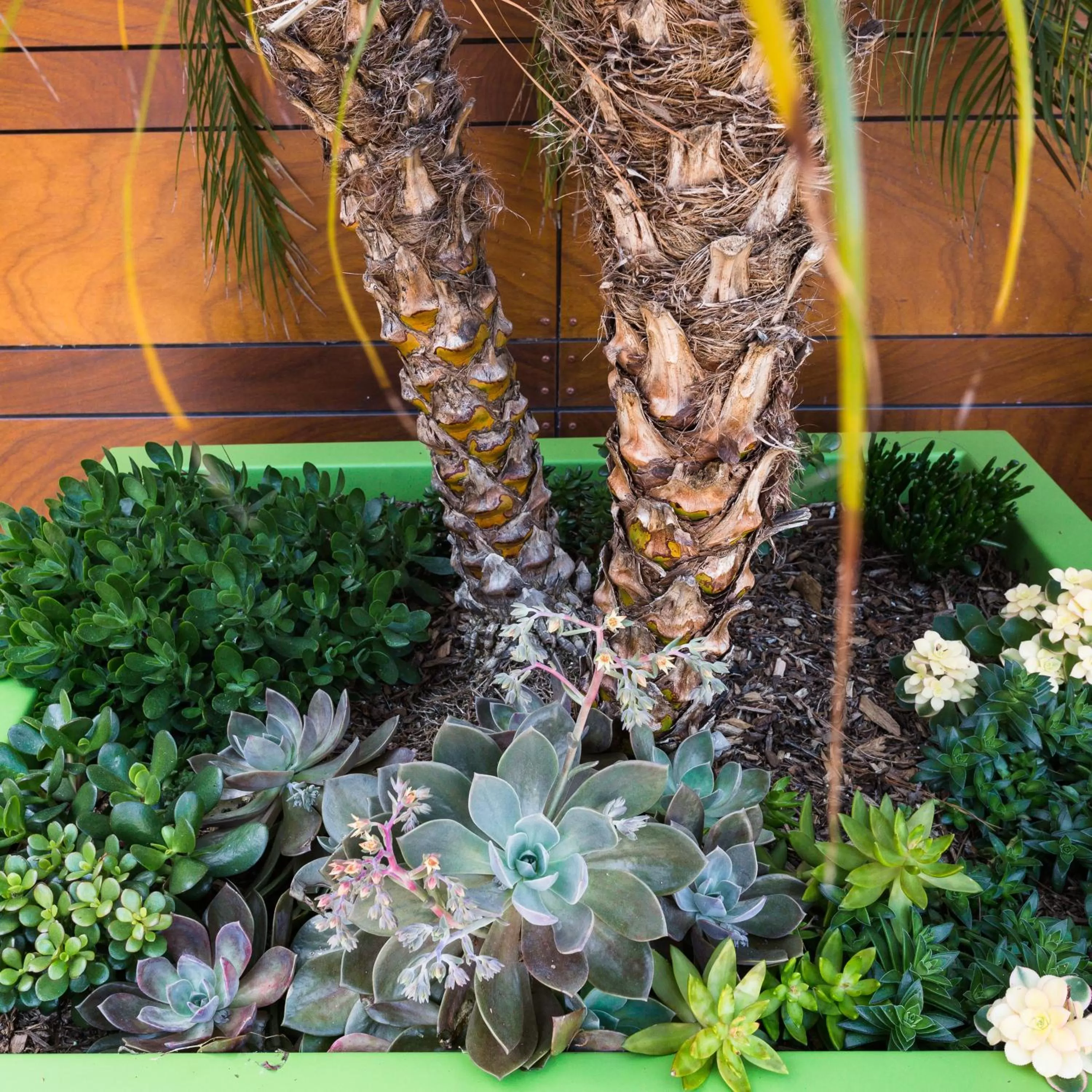 Garden in Menlo Park Inn