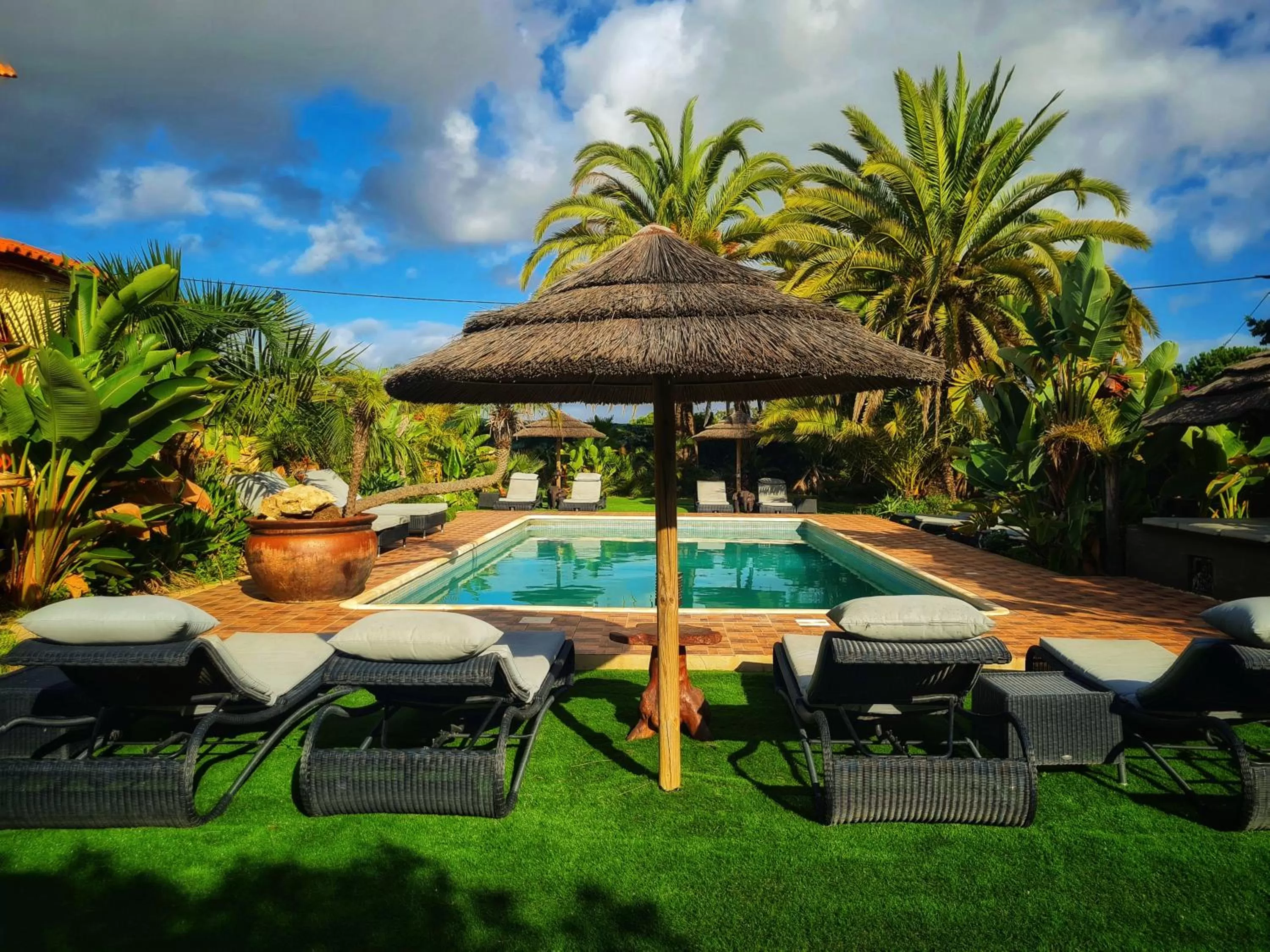 Garden, Swimming Pool in Villa Paraiso - Naturism Optional Adults Only