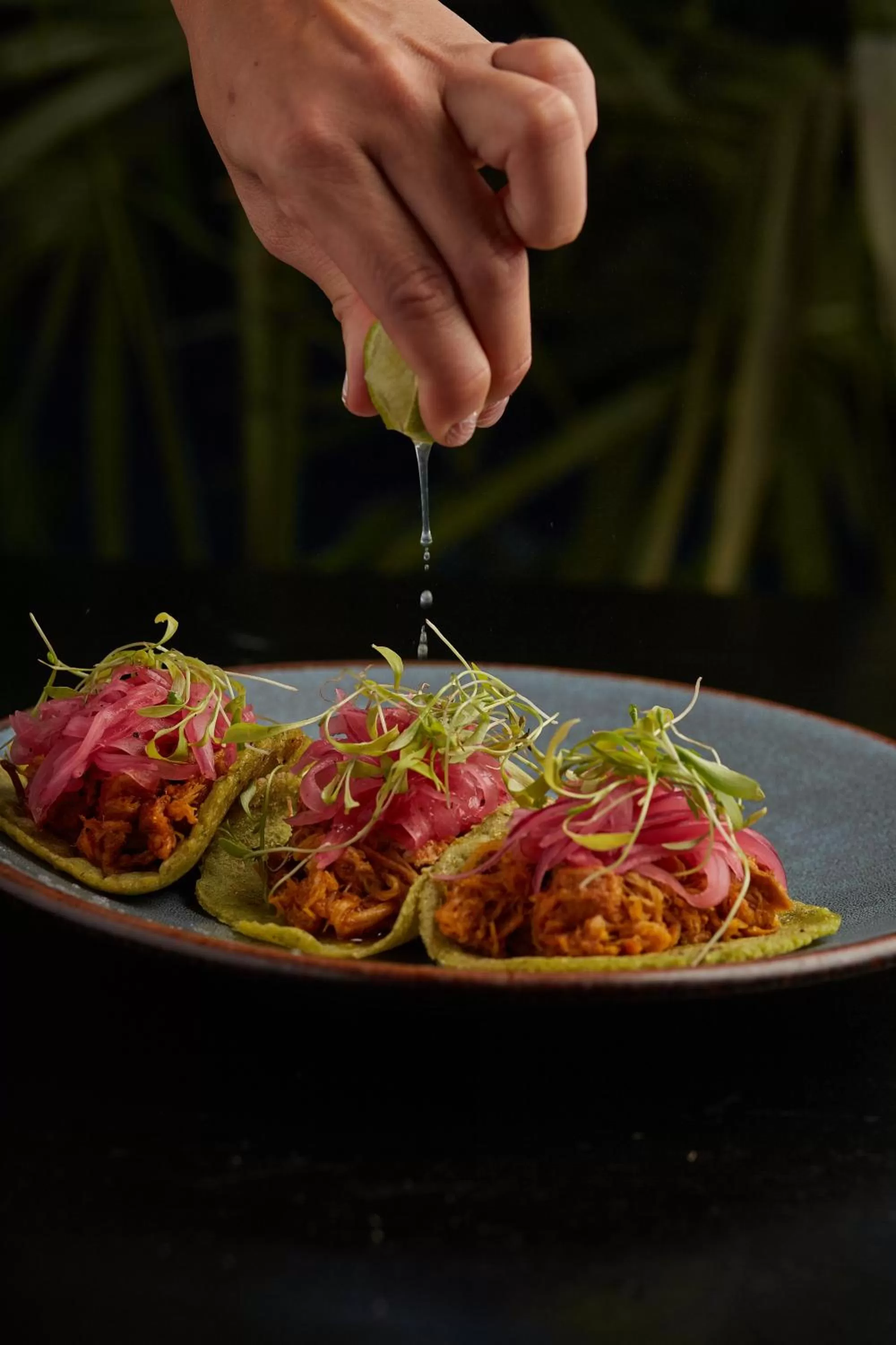 Food and drinks in Hotel Bardo - Adults Only