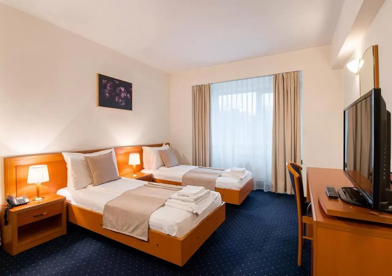 Twin Room in Hotel Excelsior By TimHotels Twin Room in Hotel Excelsior By TimHotels