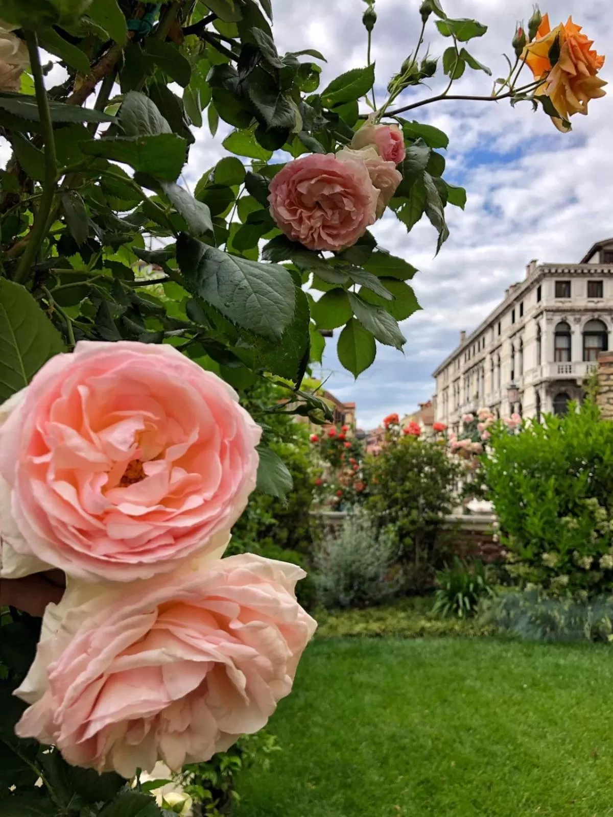 Garden in Madama Garden Retreat