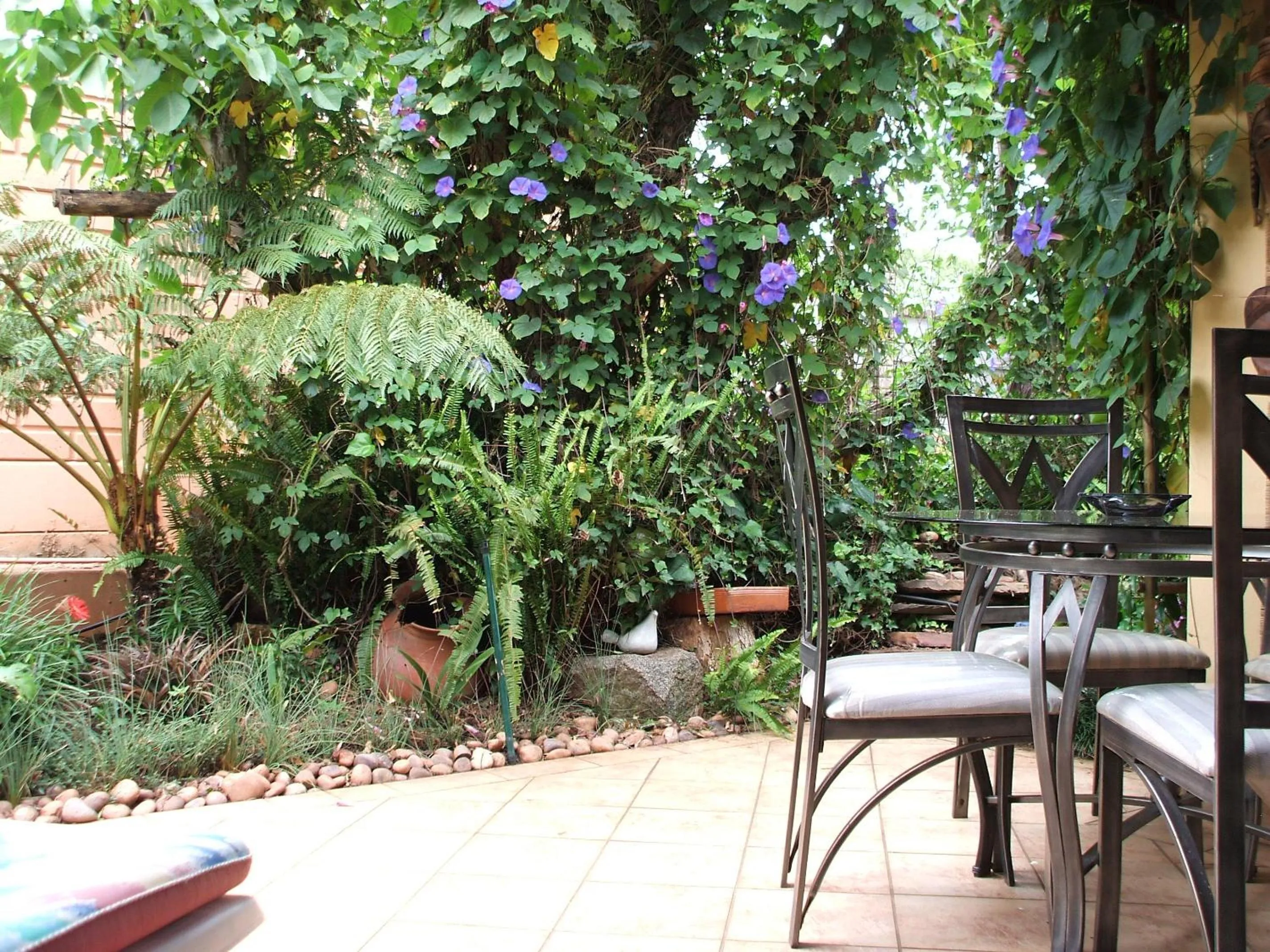 Patio in Cherry Tree Cottage B&B Linden