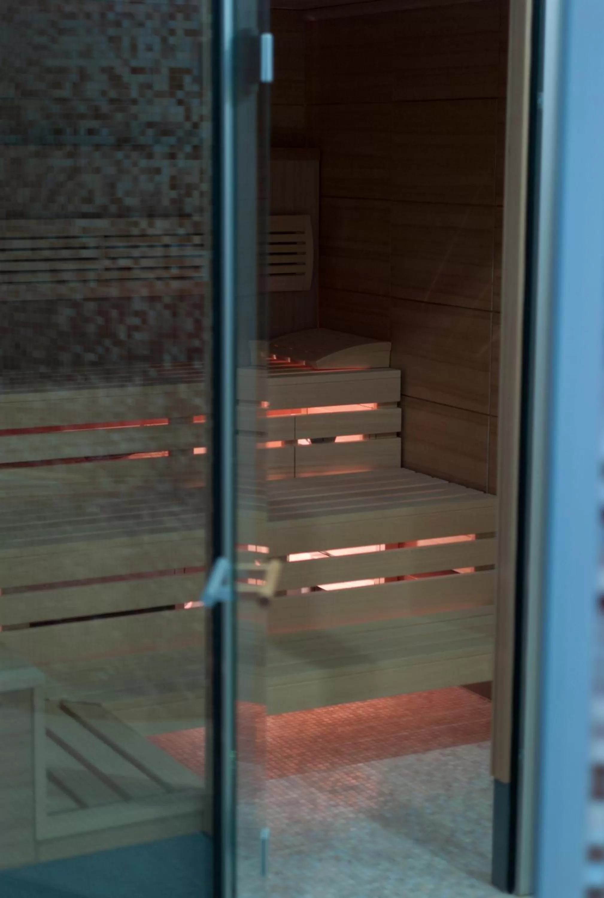 Sauna in WELLNESS HOTEL LÖWE