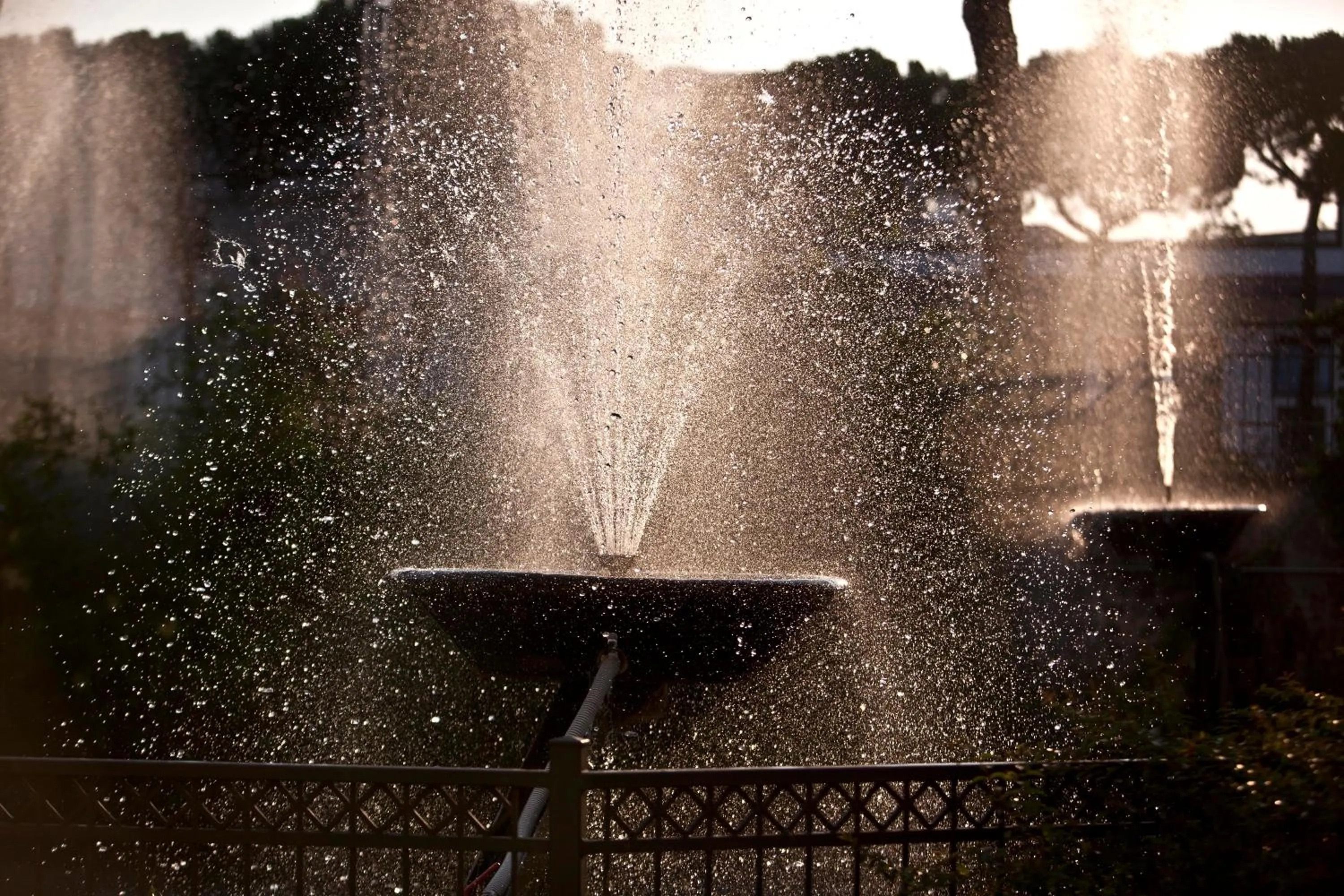 Property building in Hotel Leon d'Oro