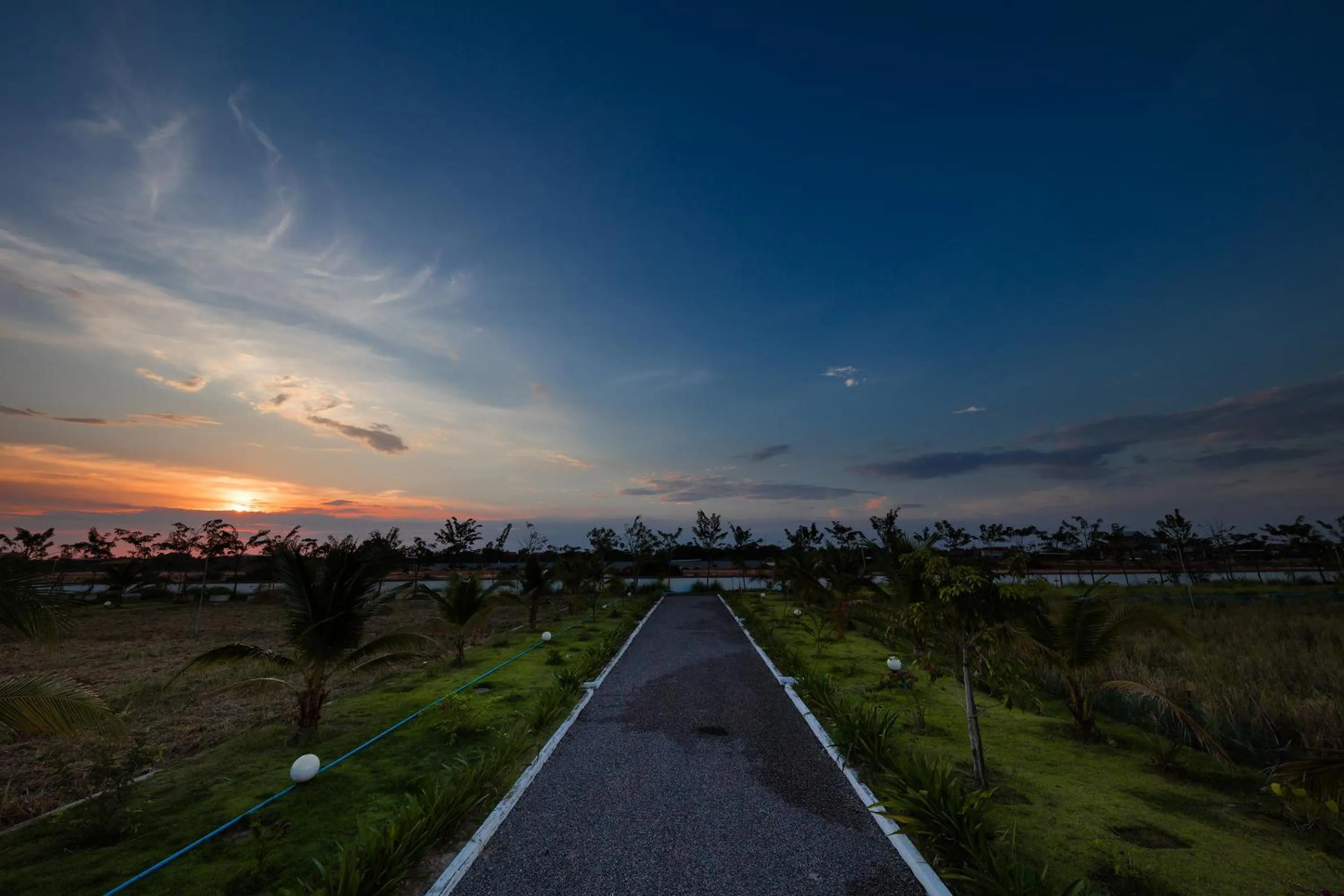 Garden in Angkor Rendezvous