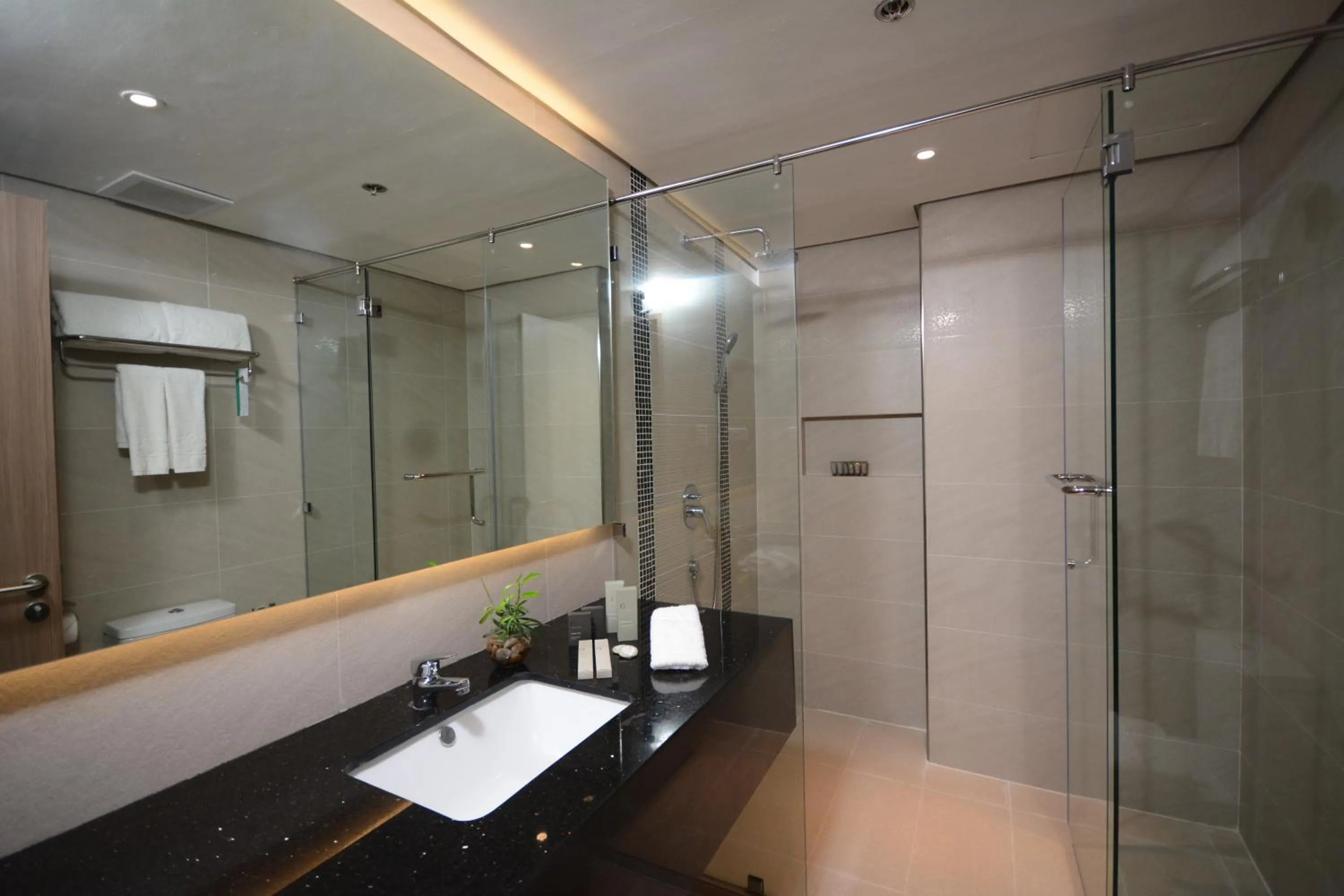 Shower in Blue Lotus Hotel