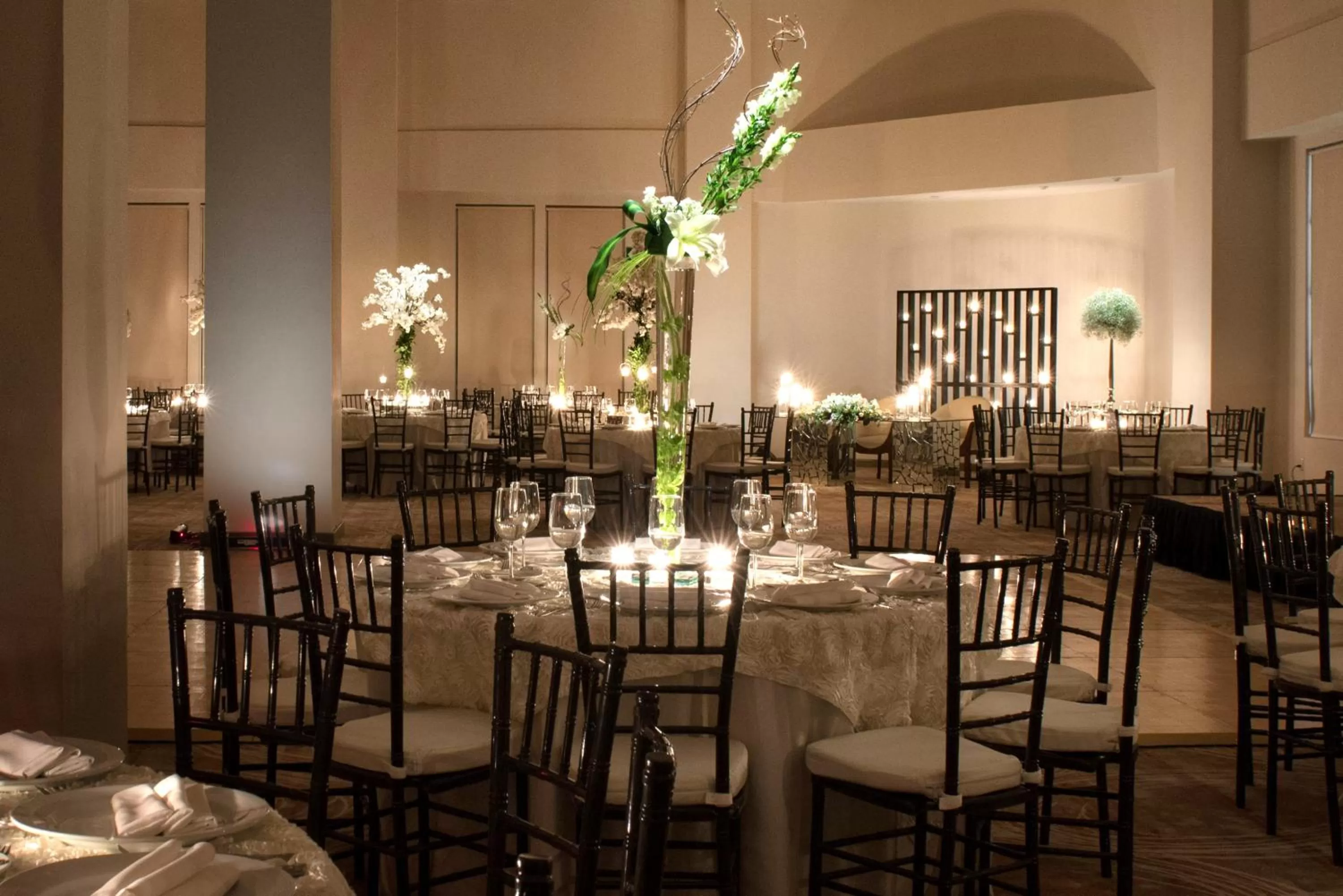 Banquet/Function facilities in Krystal Monterrey