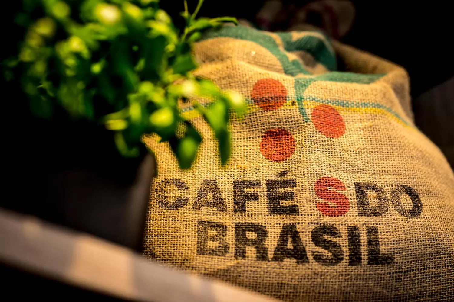 Non alcoholic drinks in ibis Wels