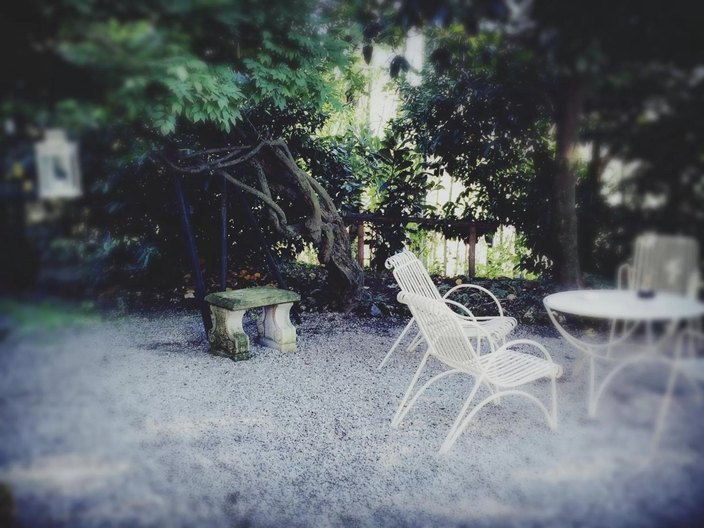 Garden view in Le Querce Hotel