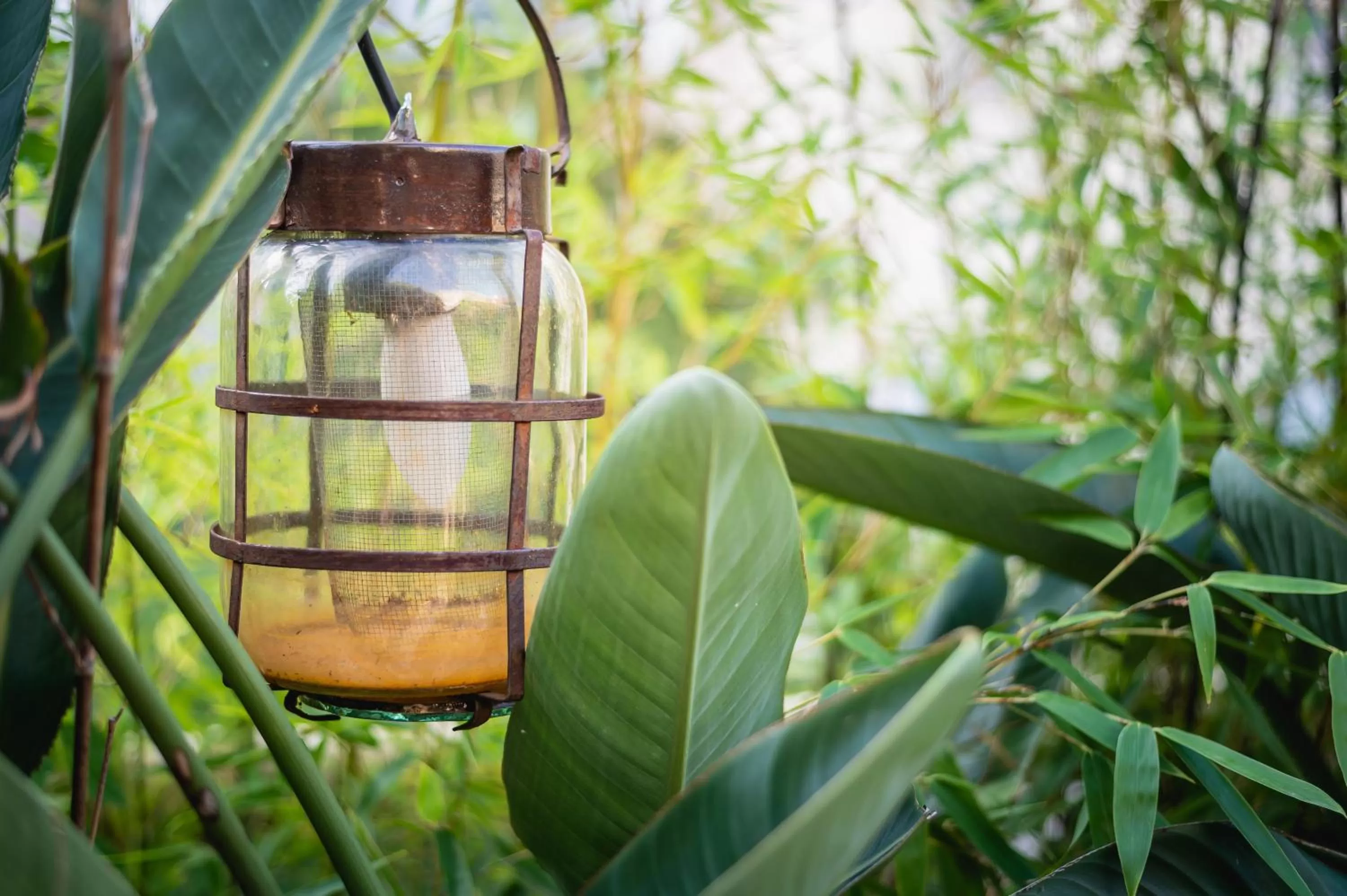 Property building in Hub Porteño