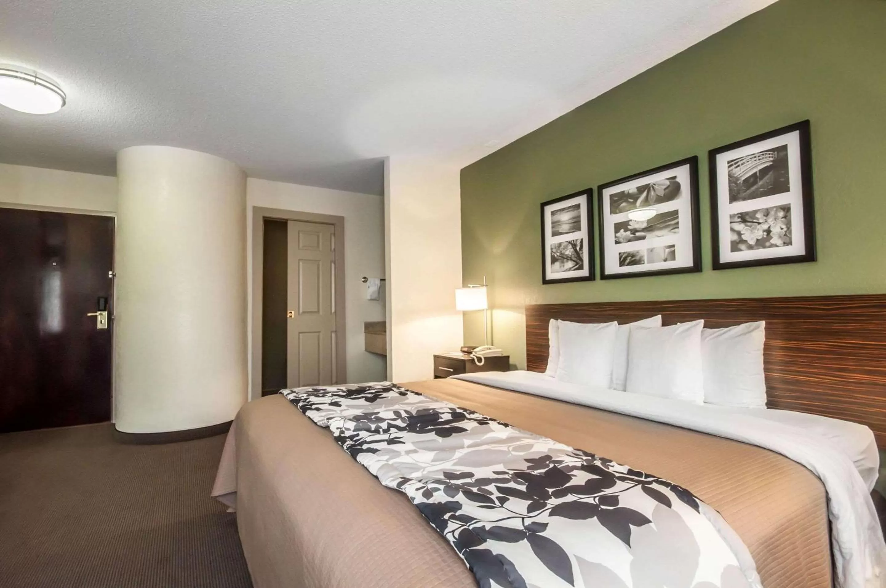 Photo of the whole room, Bed in Sleep Inn Cinnaminson - Philadelphia East