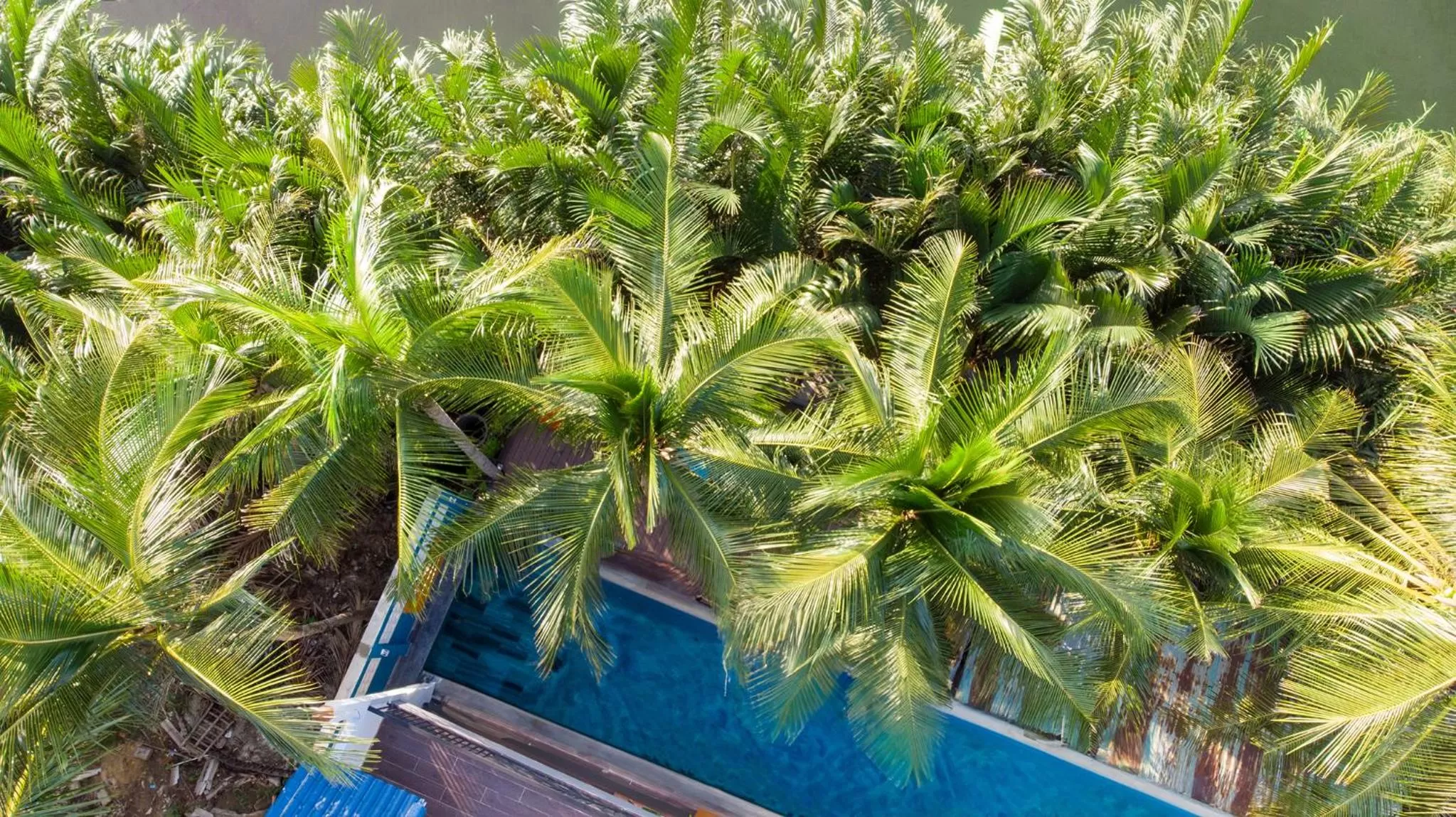 Natural landscape in G Boutique Retreat Hoi An