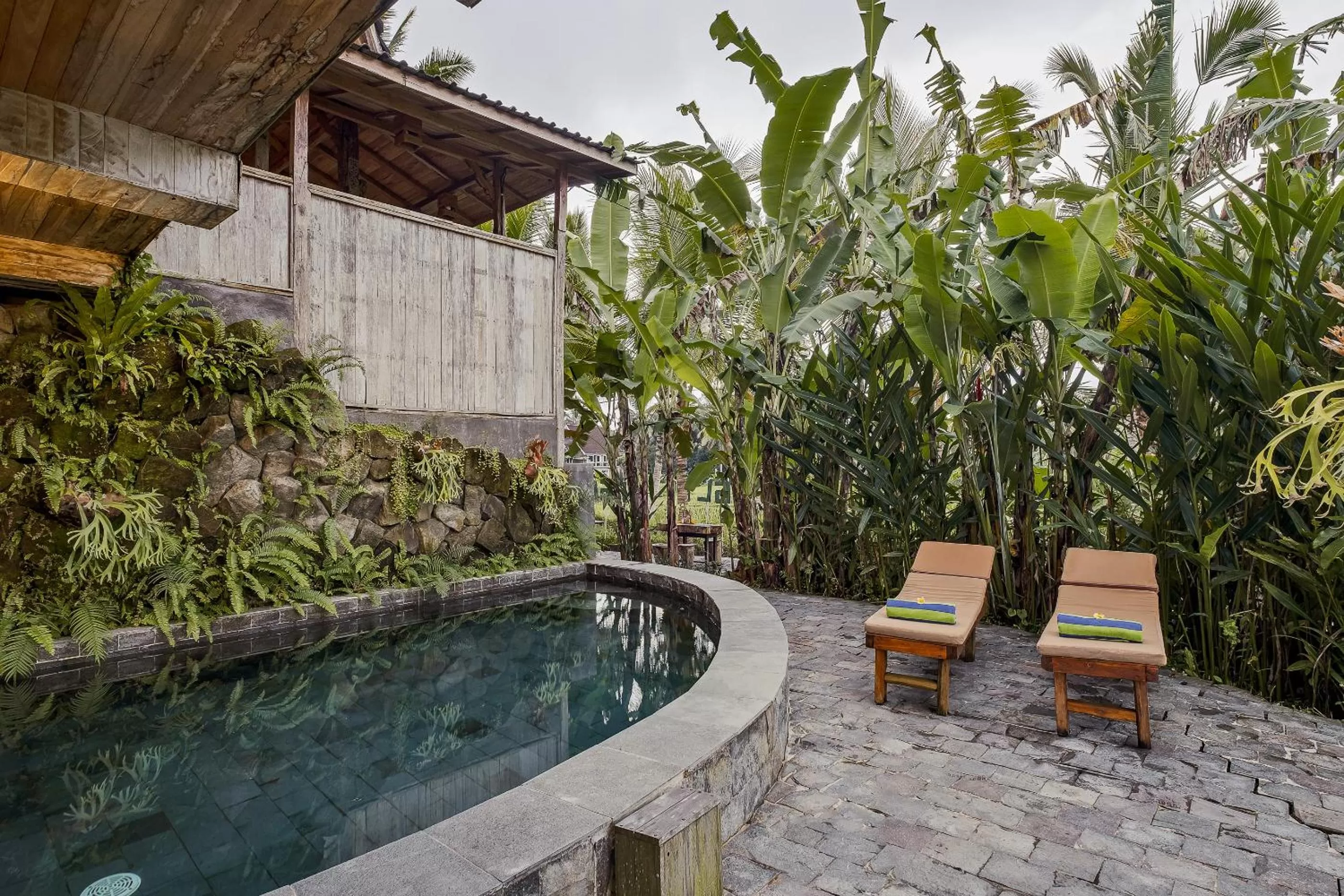 Swimming pool in Joglo Organik Guesthouse