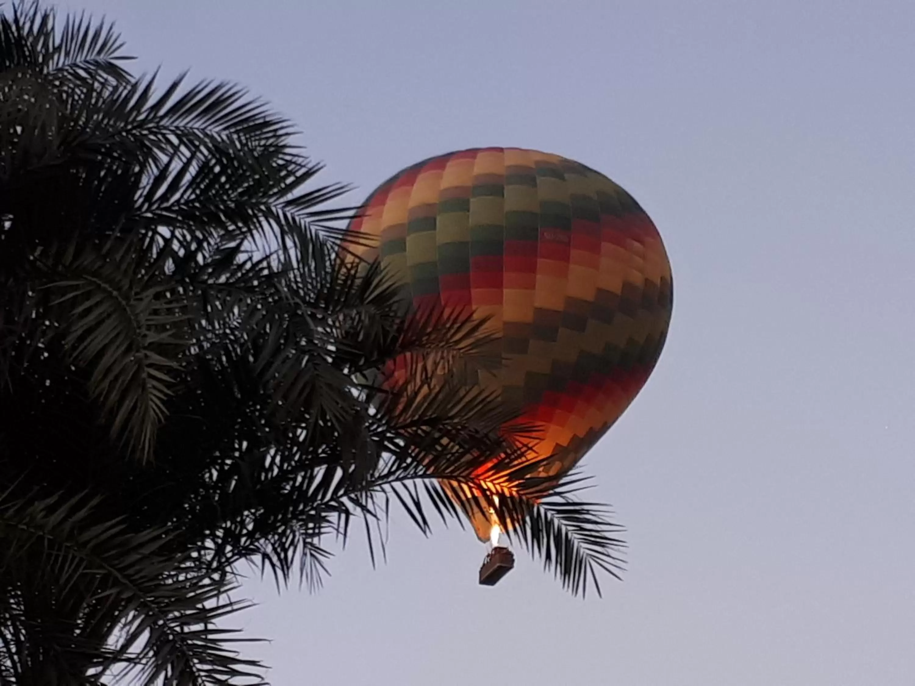 Sunflower Guest House Luxor West Bank