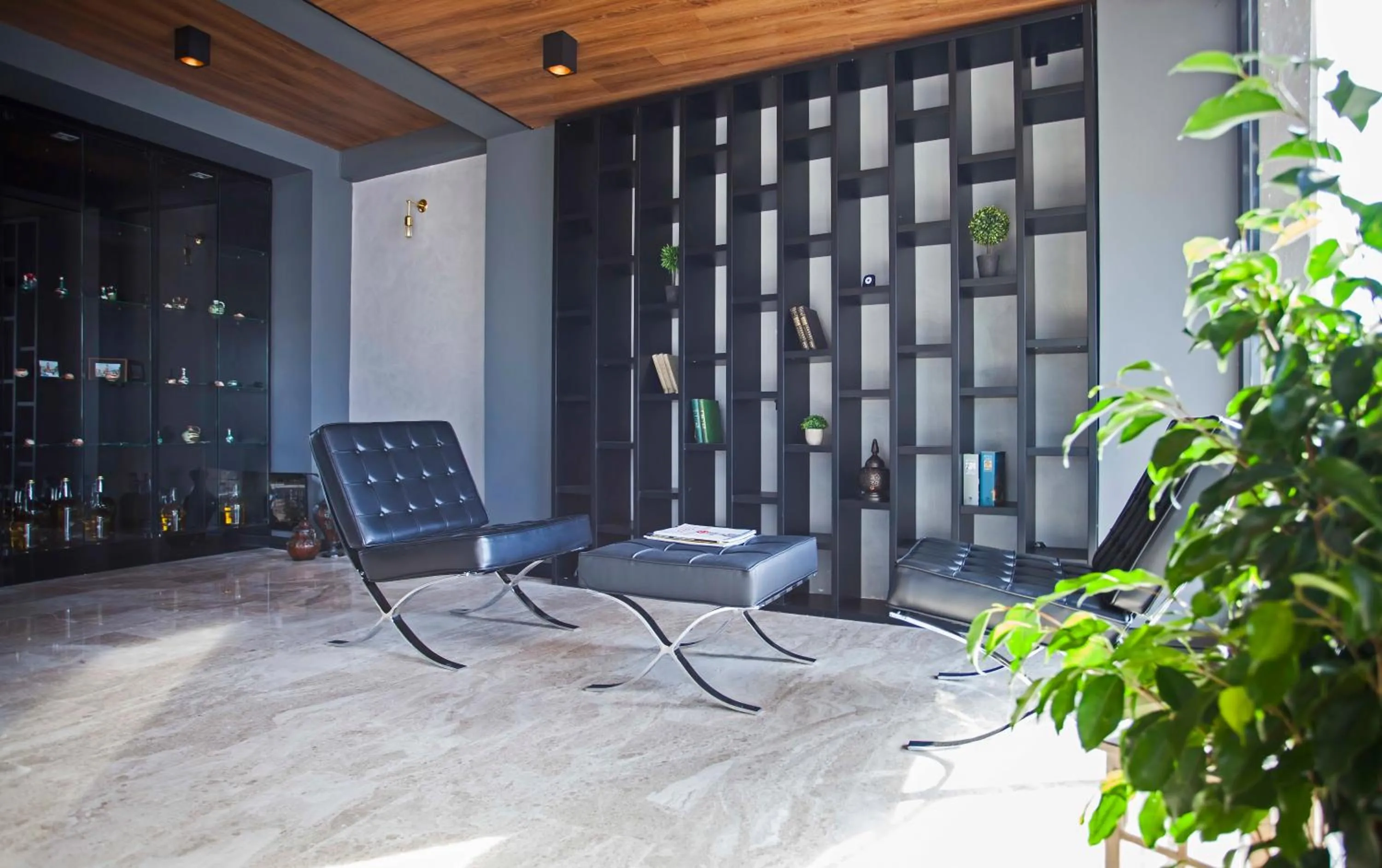 Lobby or reception in Hotel Cura