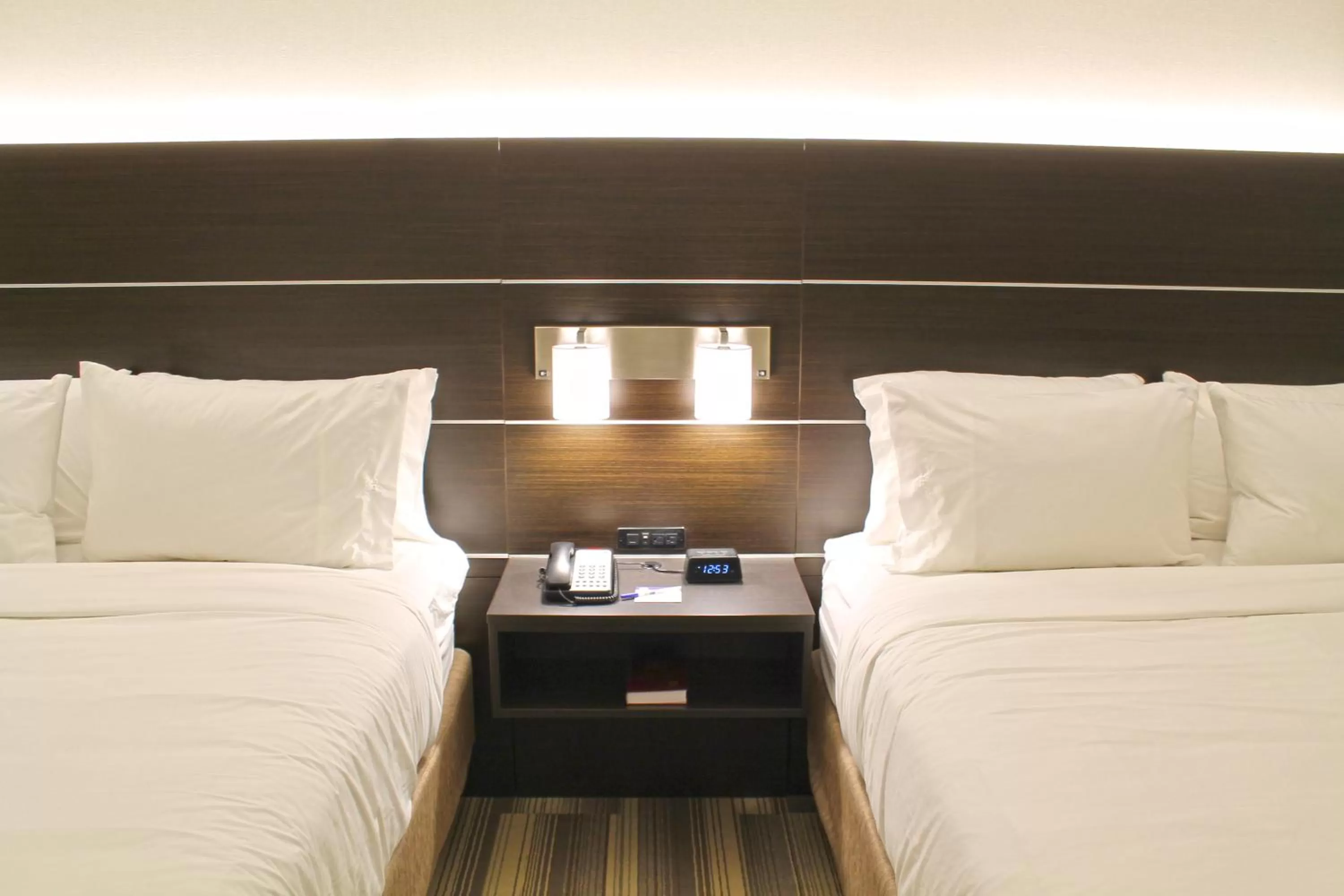 Photo of the whole room, Bed in Holiday Inn Express & Suites - St. Louis South - I-55 by IHG