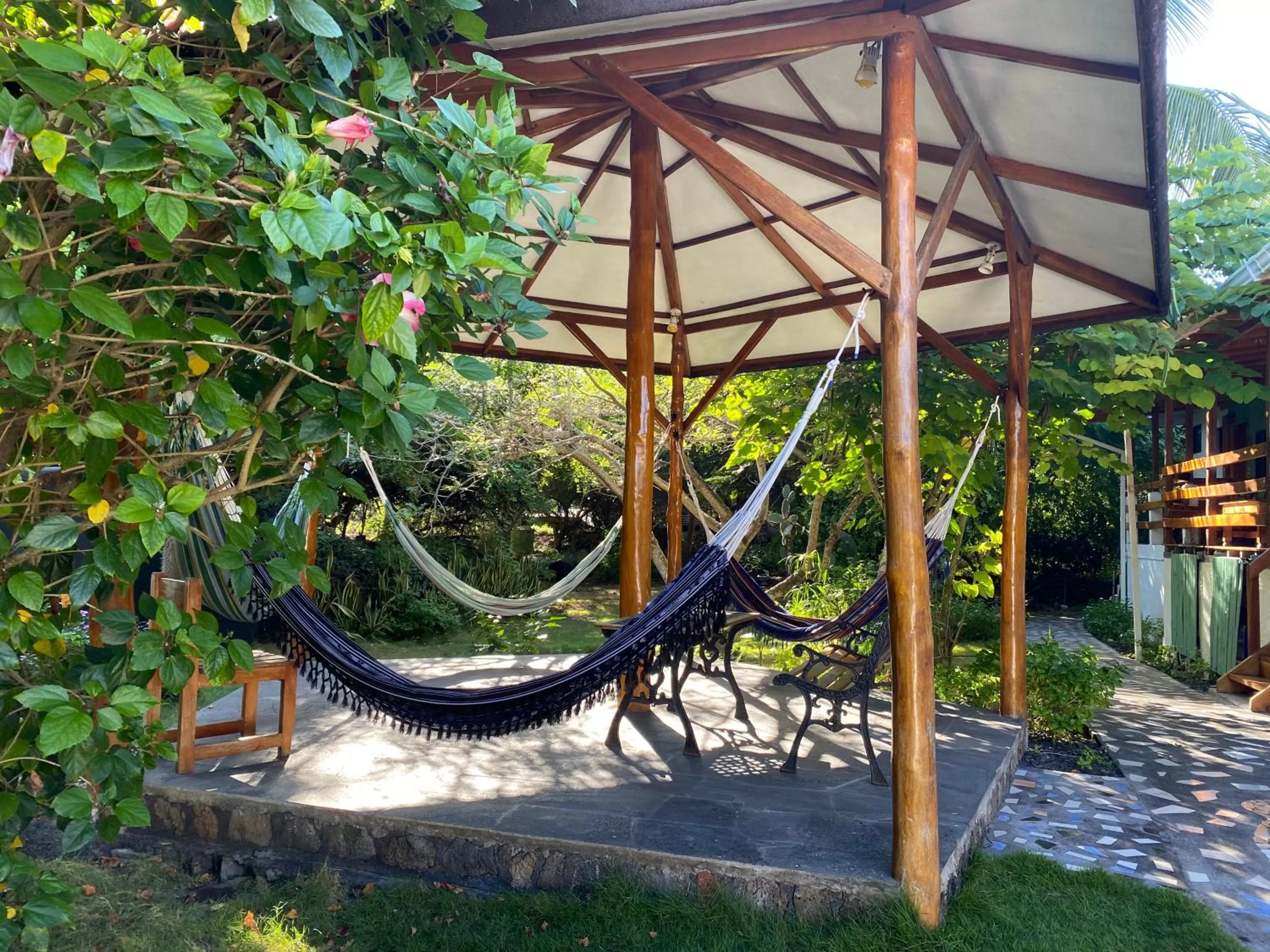 Garden in La Peregrina Galapagos B&B