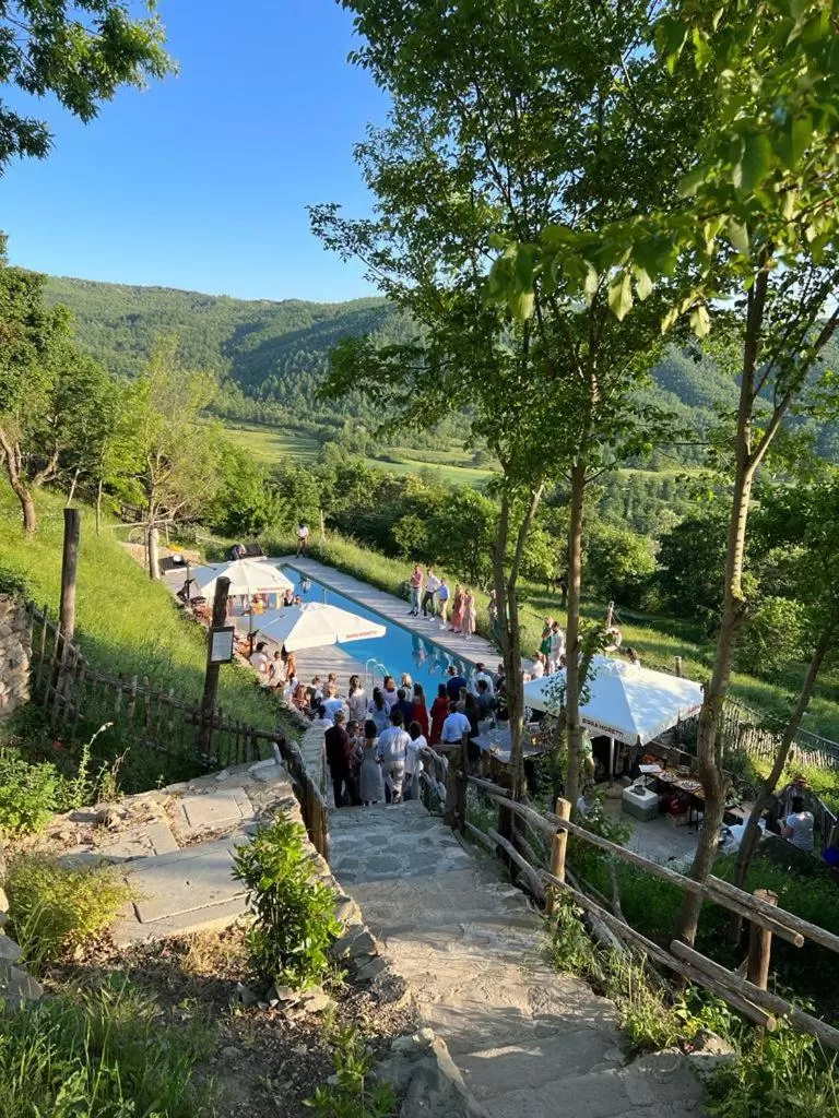 Pool View in novanta nature retreat
