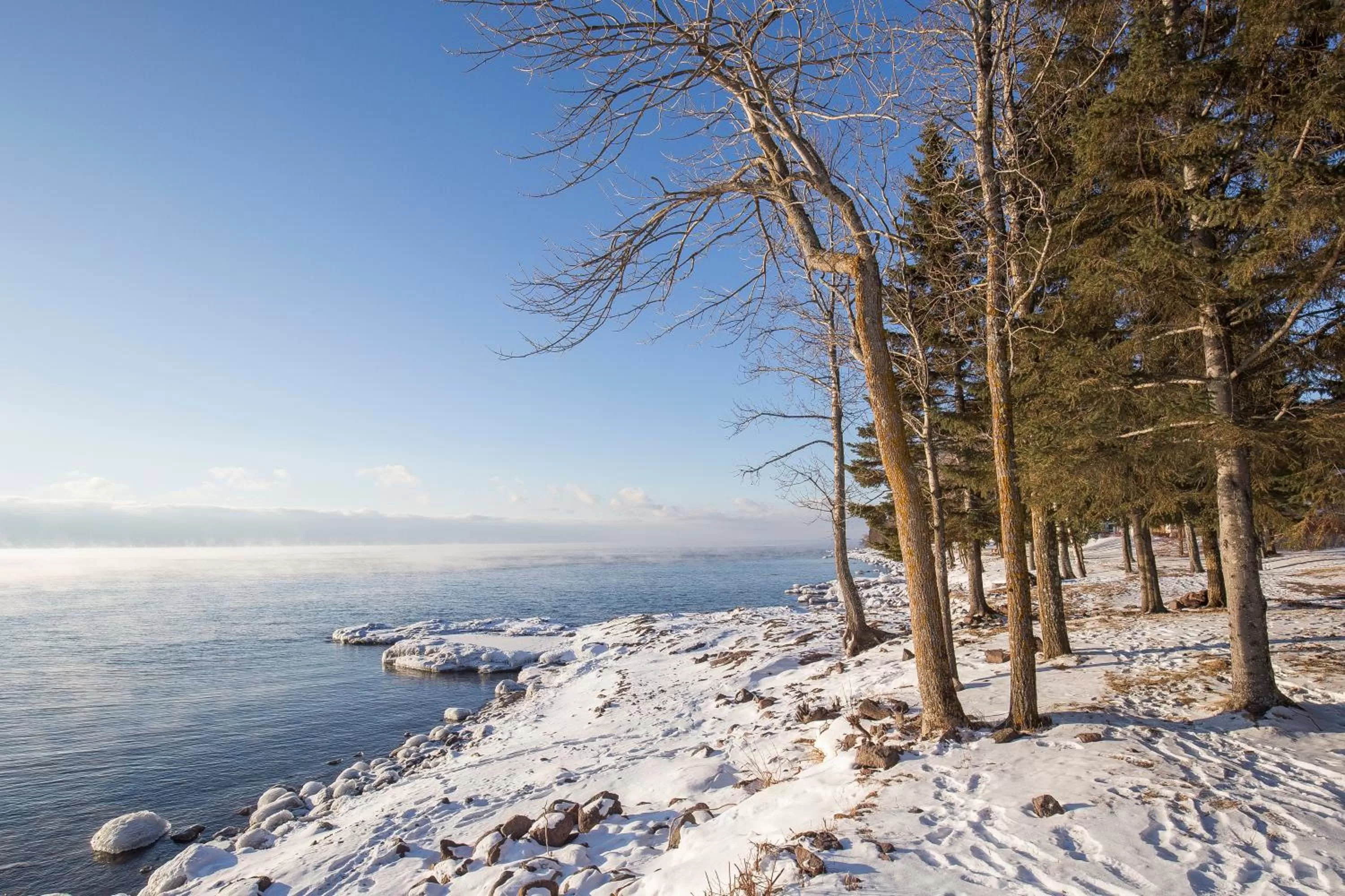 Natural landscape in Larsmont Cottages