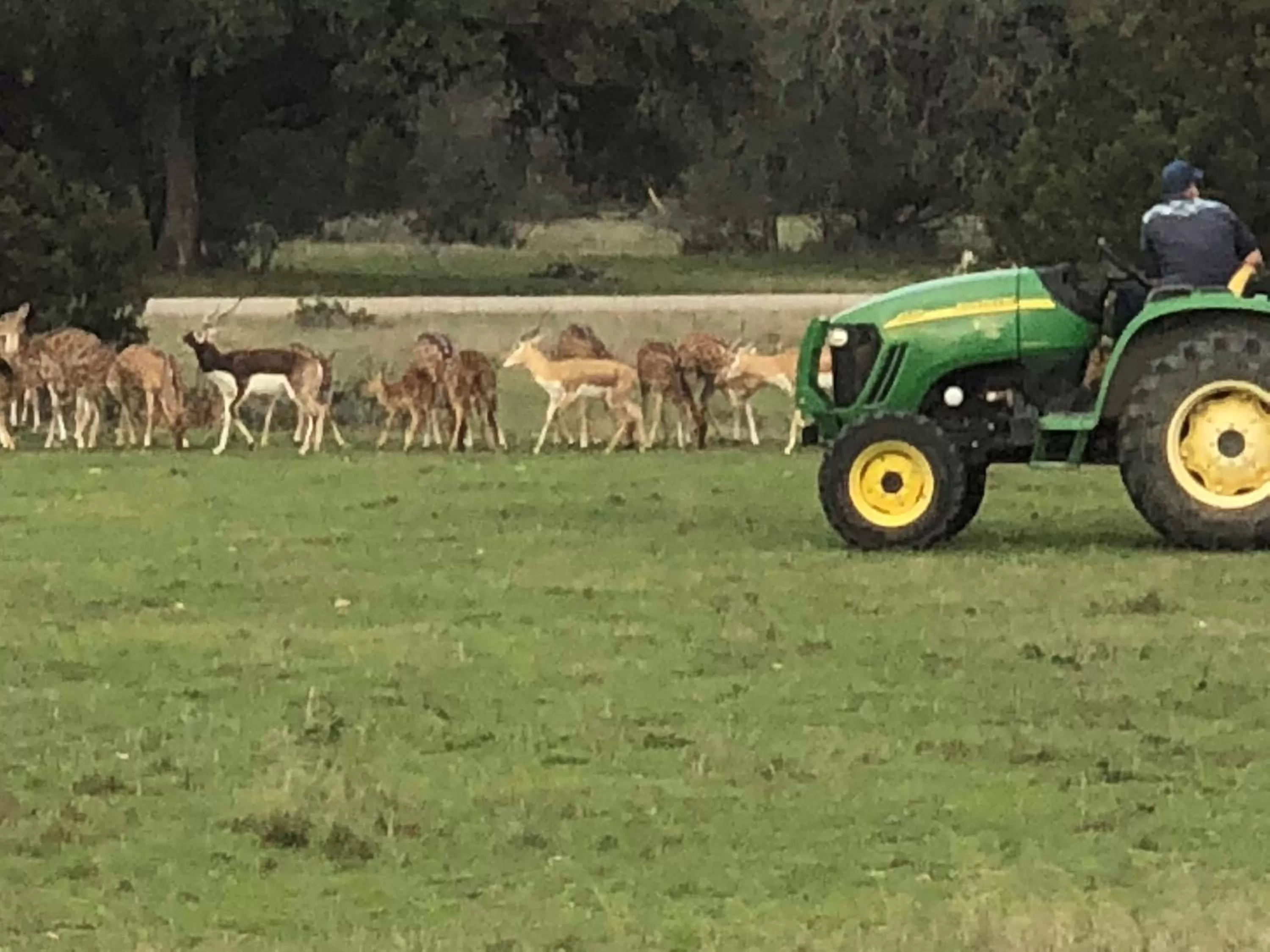 Flying L Ranch Resort & Golf Course