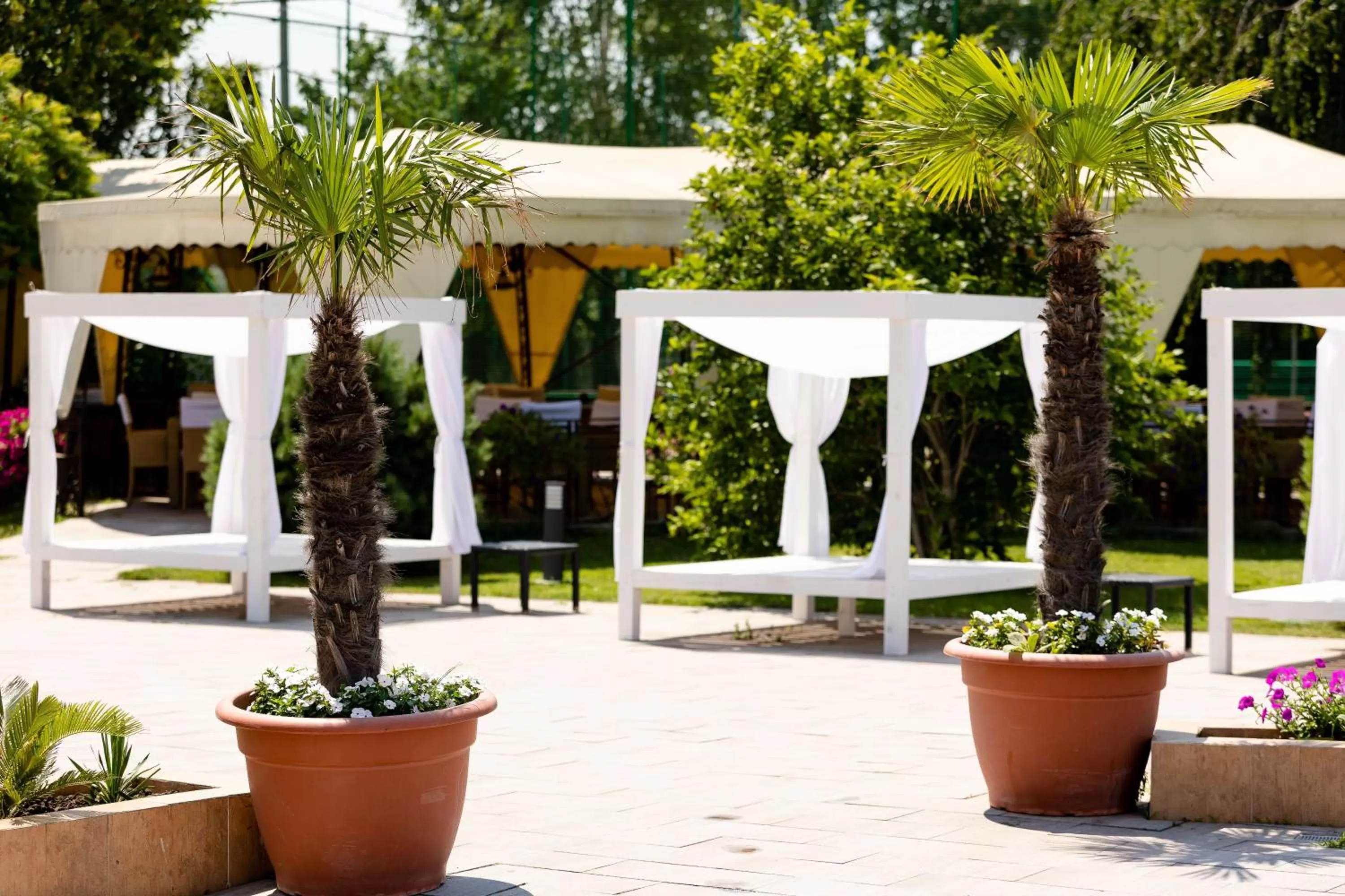 Swimming pool in Hotel Terra Balneo