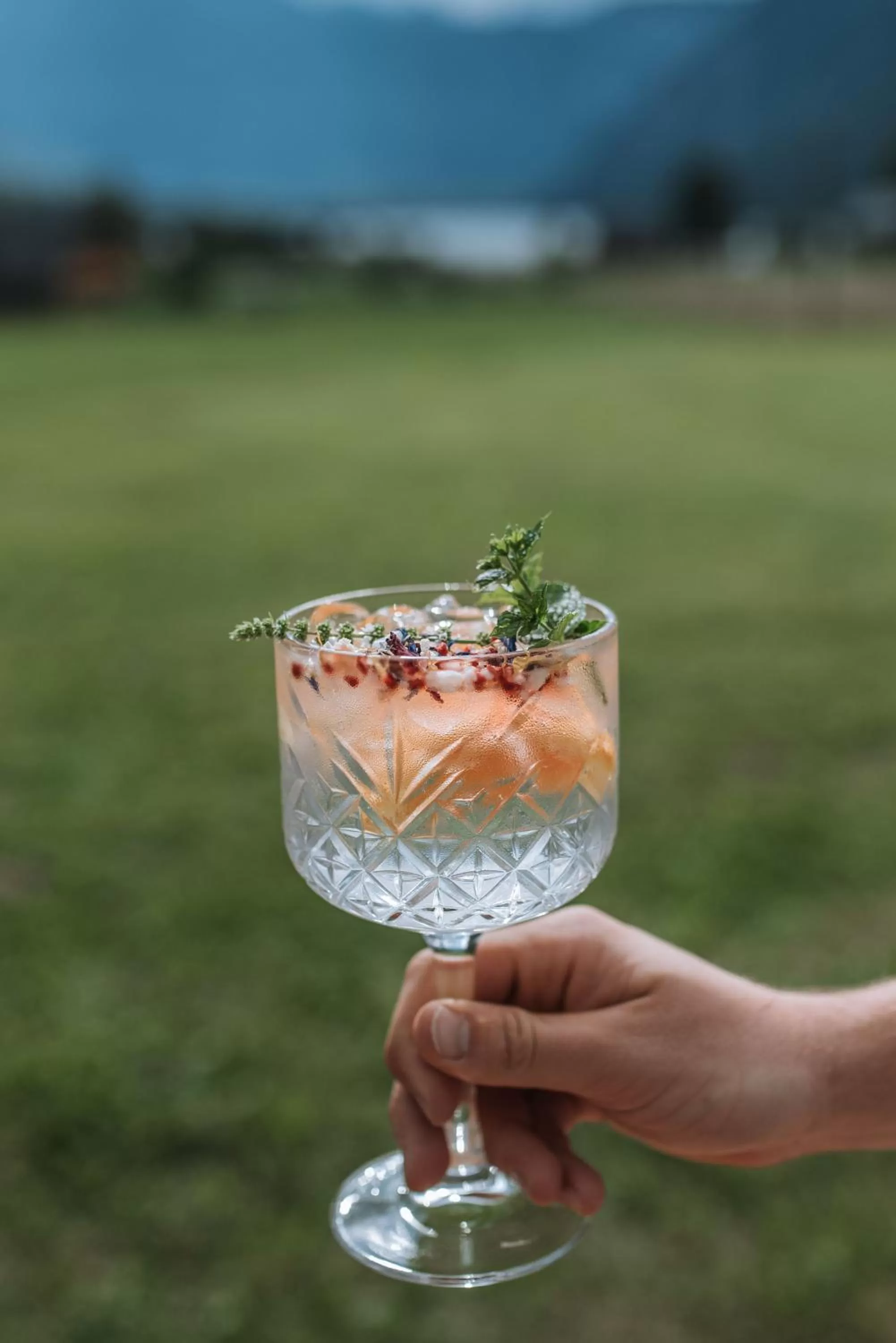 Drinks in Apartmaji Triglav