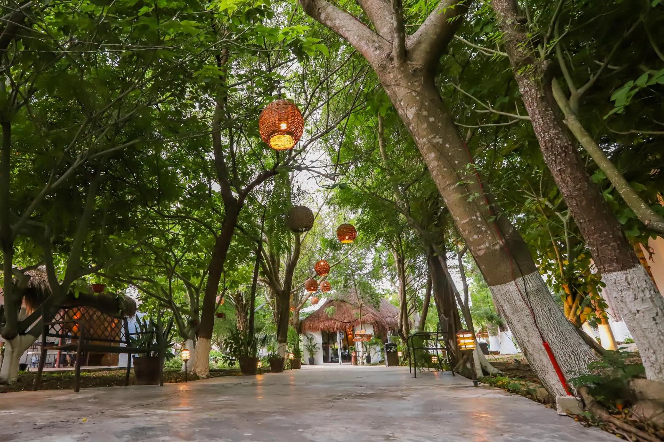 Garden view in Mayan Secret Hotel Boutique