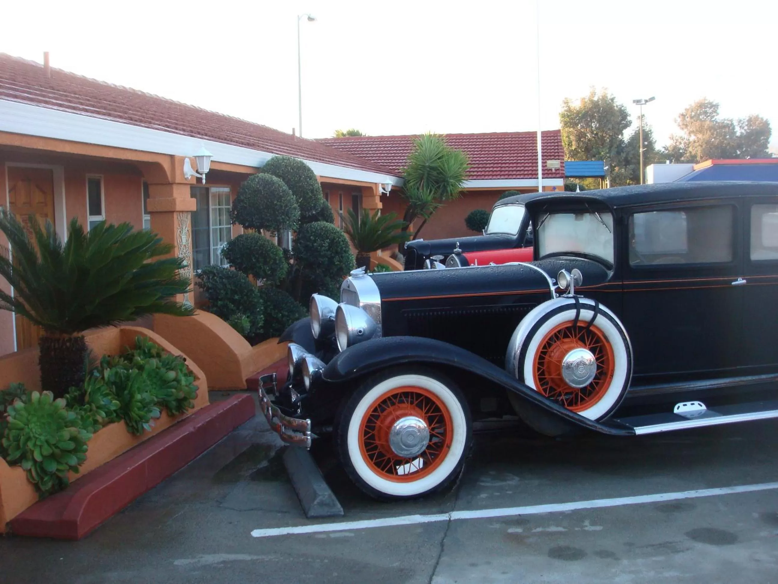 Garden in Economy Inn Los Banos