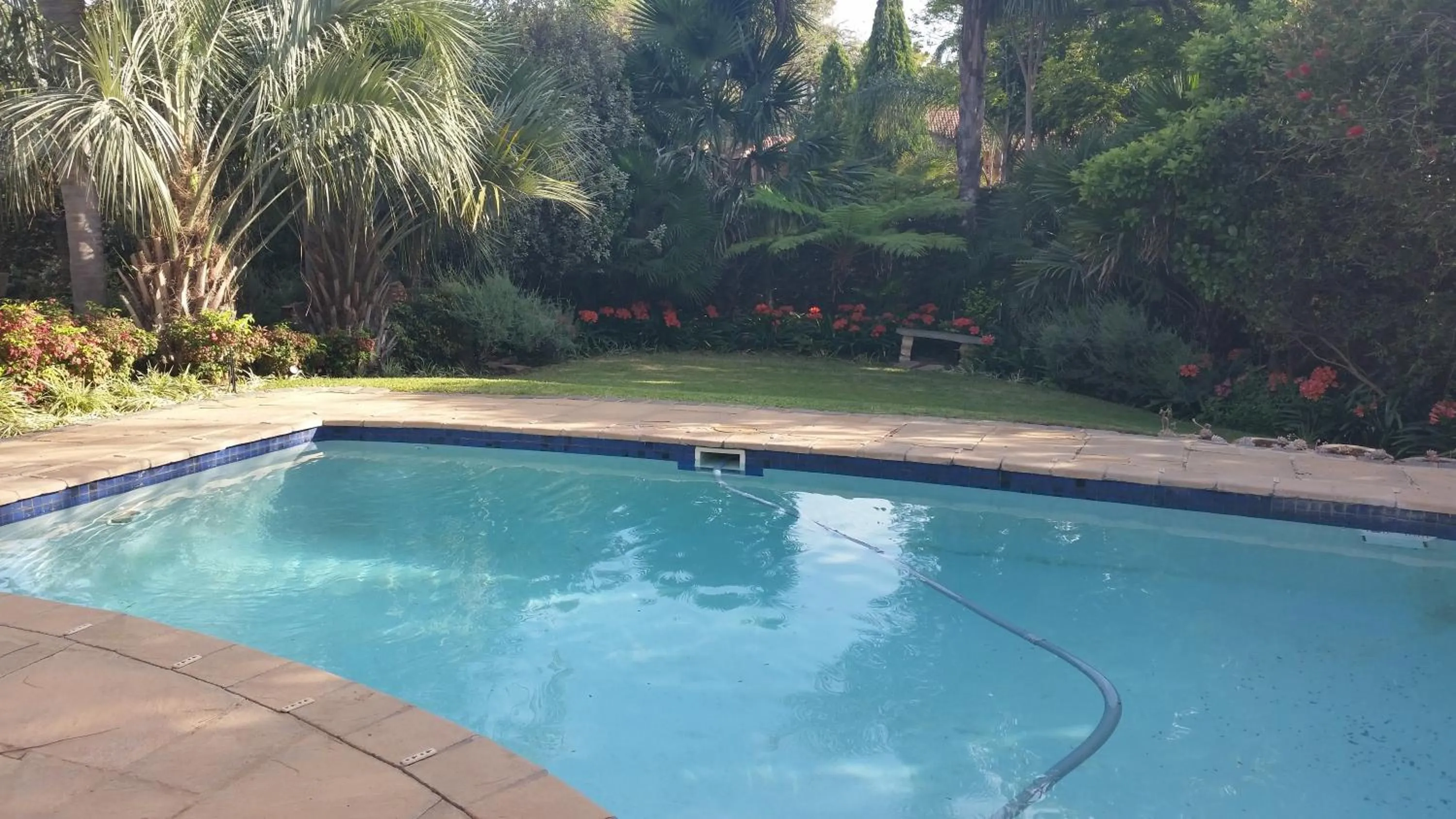 Swimming pool in Royal Ridge Guesthouse