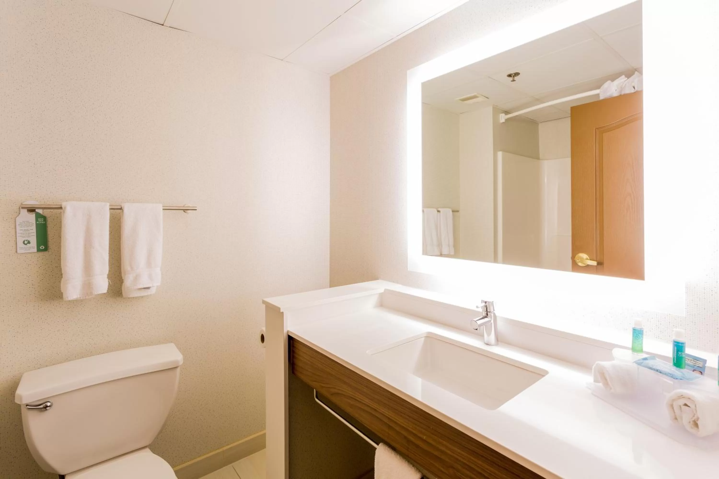 Bathroom in Holiday Inn Express Hotel & Suites Reading by IHG