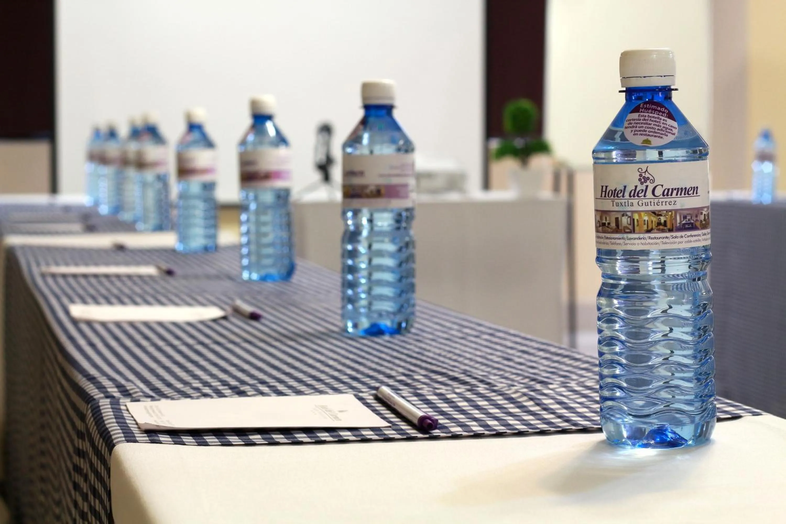 Business facilities in Hotel del Carmen, en el Centro- DESAYUNO Incluido !