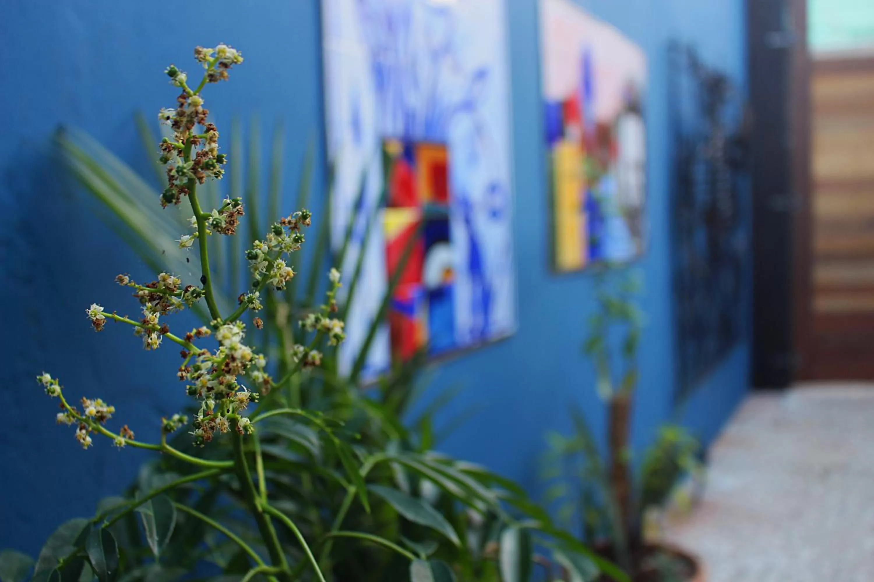 Decorative detail in Green 53 Boutique Hotel