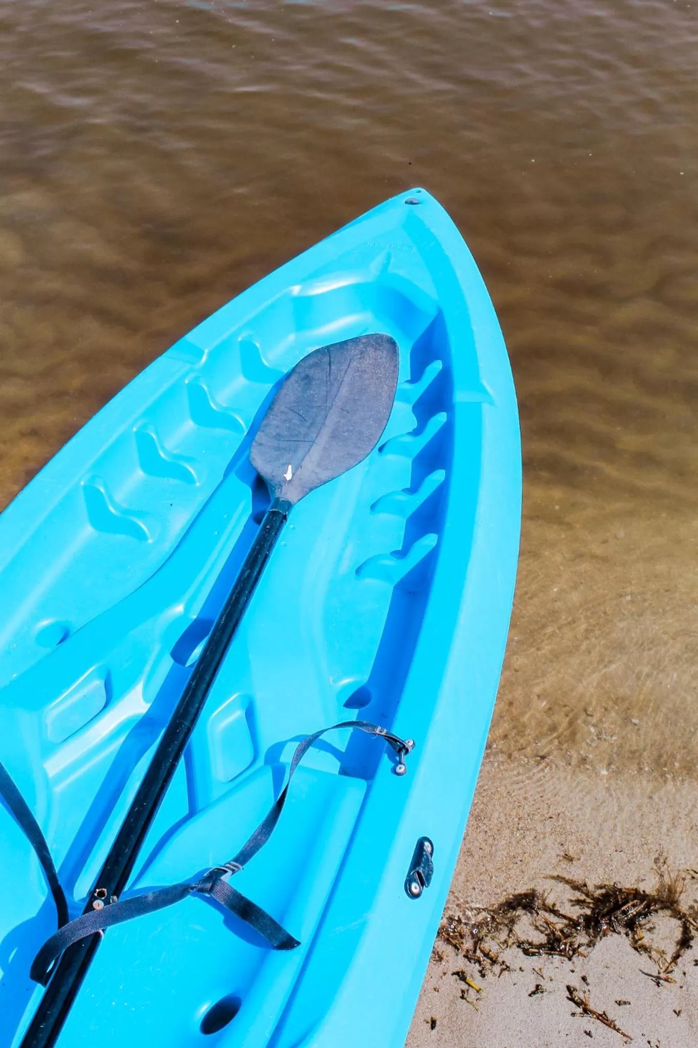 Aqua park in Rojo Manglar Acapulco