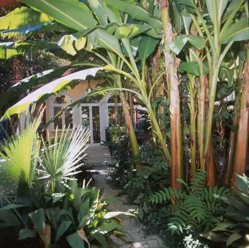 Garden in Hotel Astoria Garden