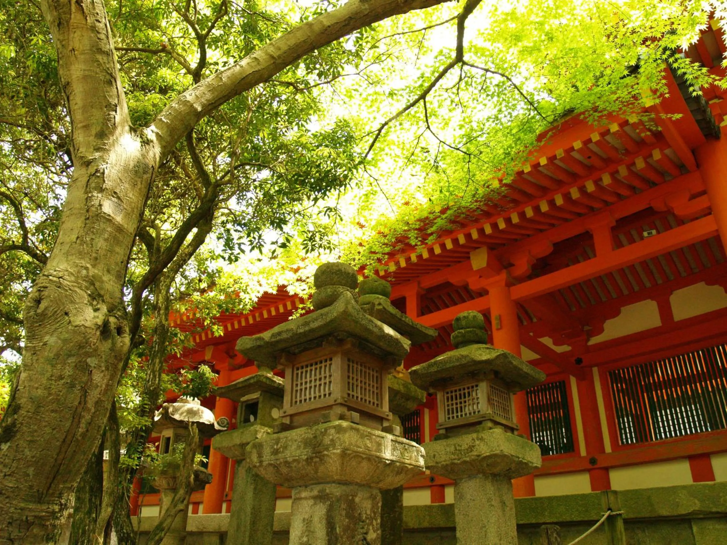 Area and facilities in Guesthouse Nara Komachi