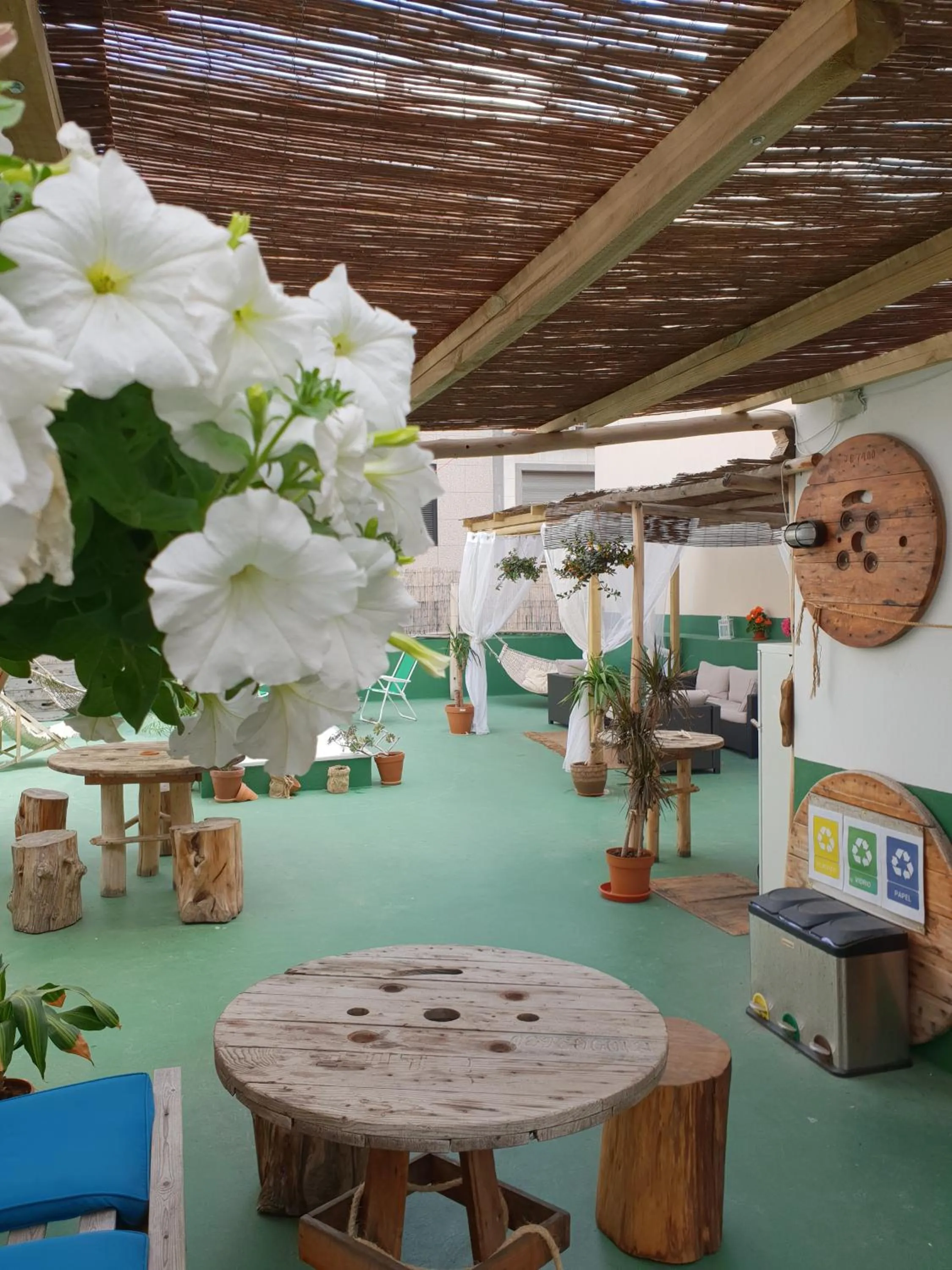 Balcony/Terrace in Cactus Host