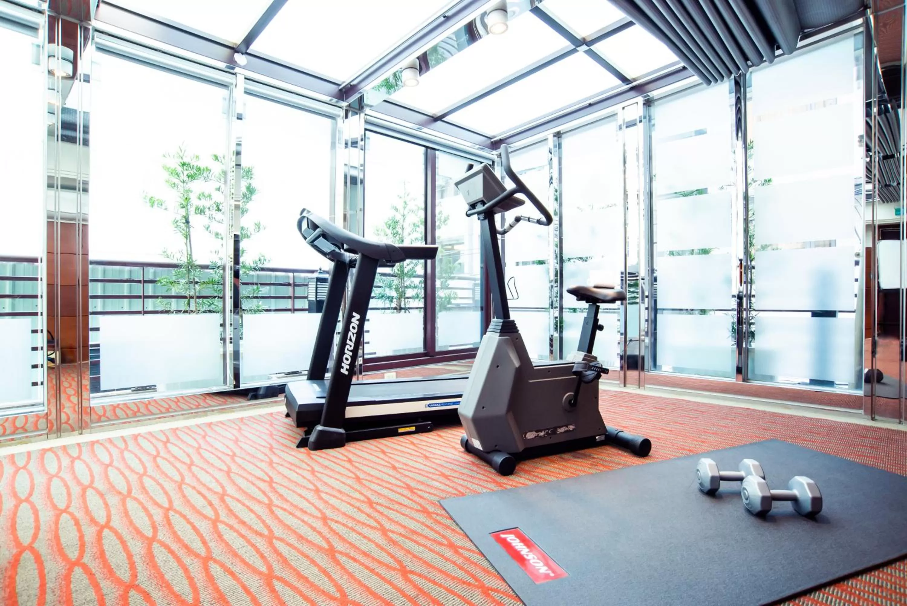 Fitness centre/facilities in 鼎隆國際商旅 Hotel Dion