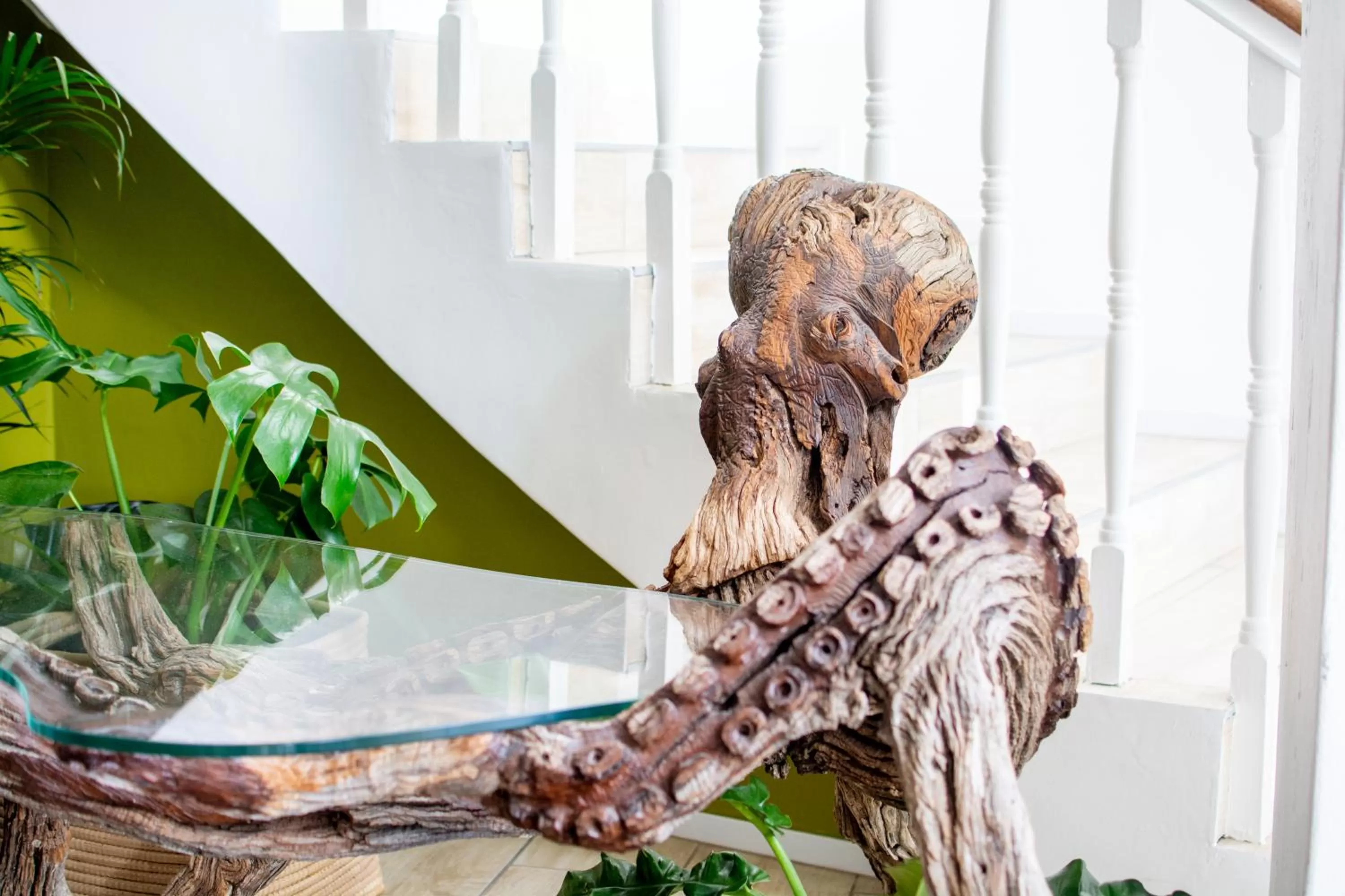 Restaurant/places to eat in Vida Nova Retreat