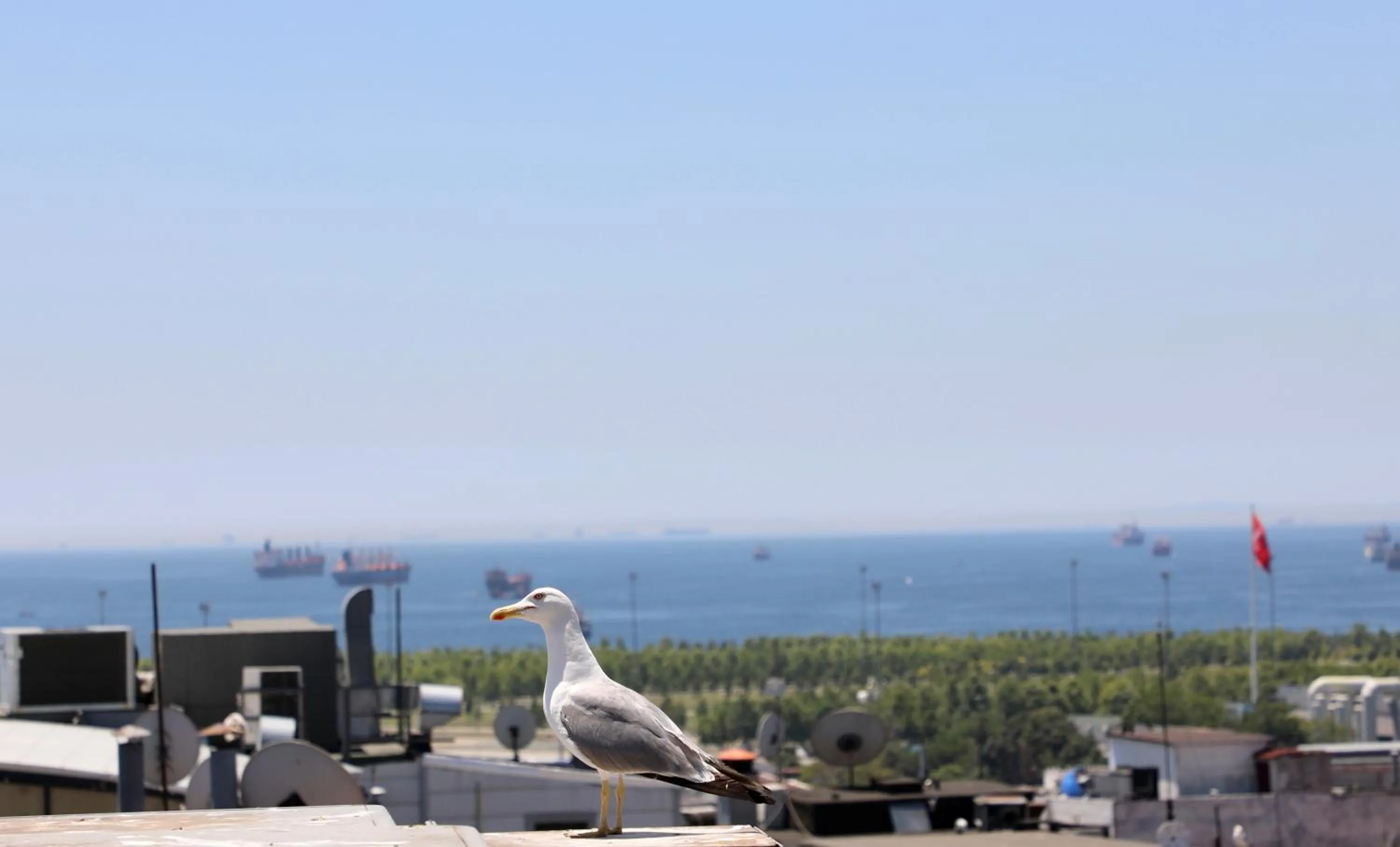 Day in Istanbul Royal Hotel