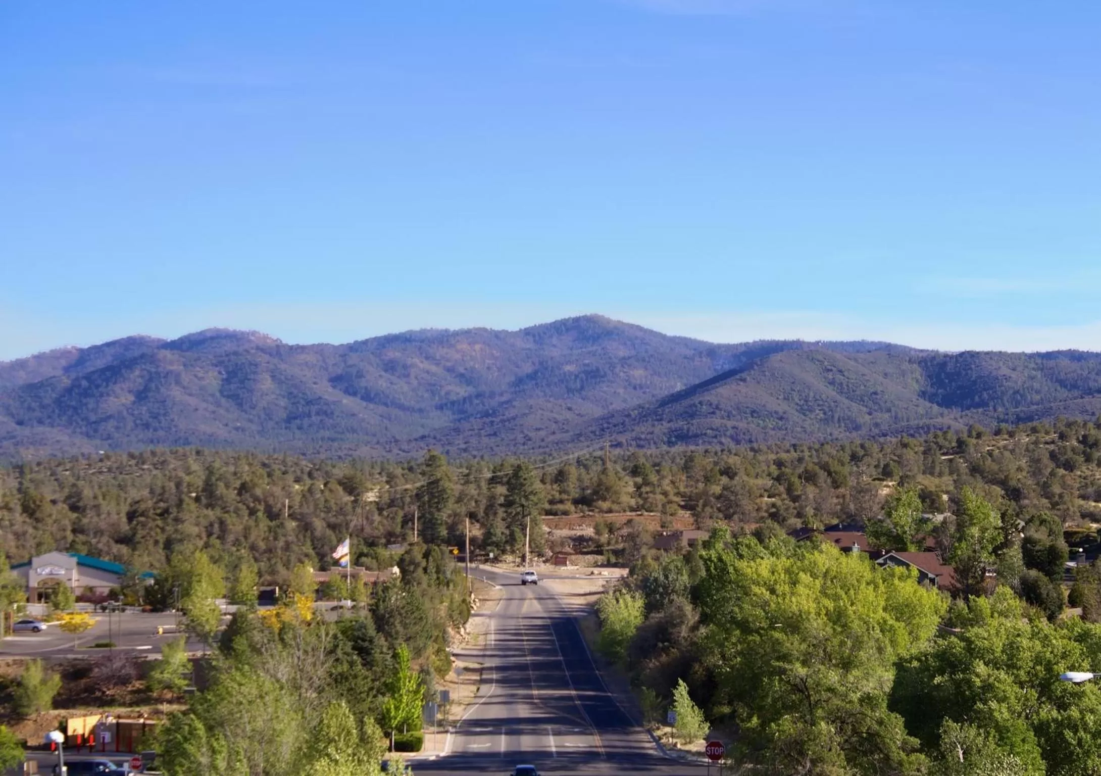 View (from property/room) in Forest Villas Hotel