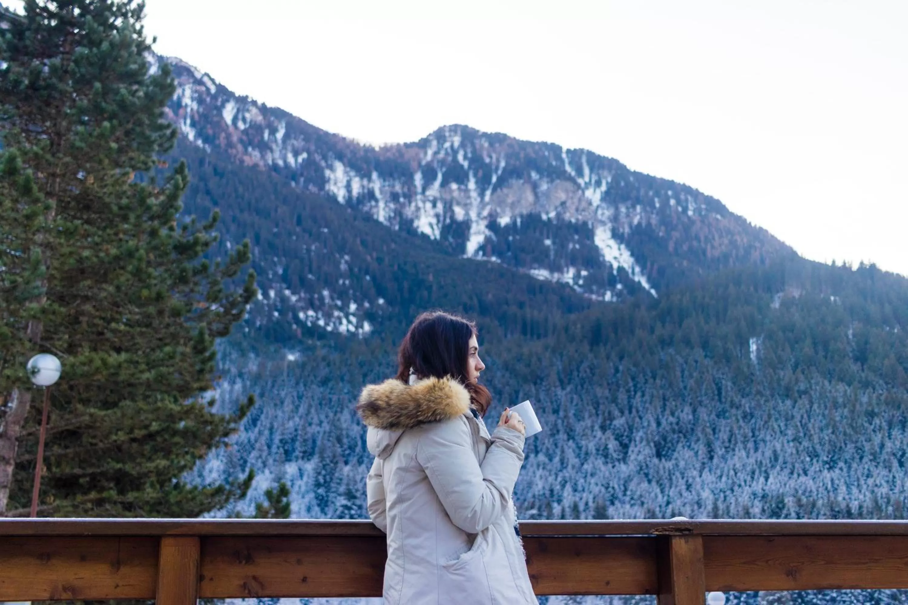 Mountain view in Hotel Club Regina E Fassa
