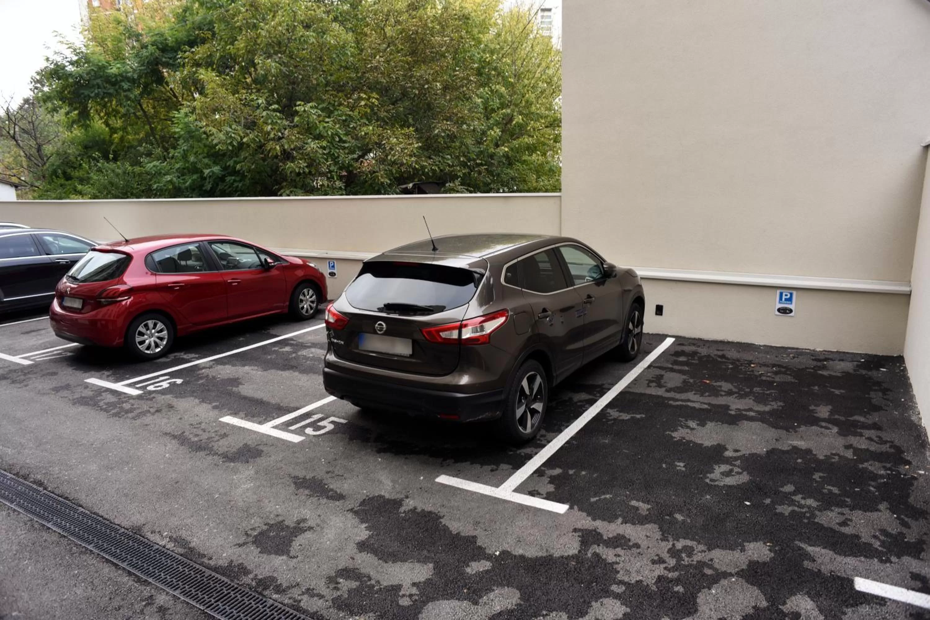 Area and facilities in Hotel LoRa