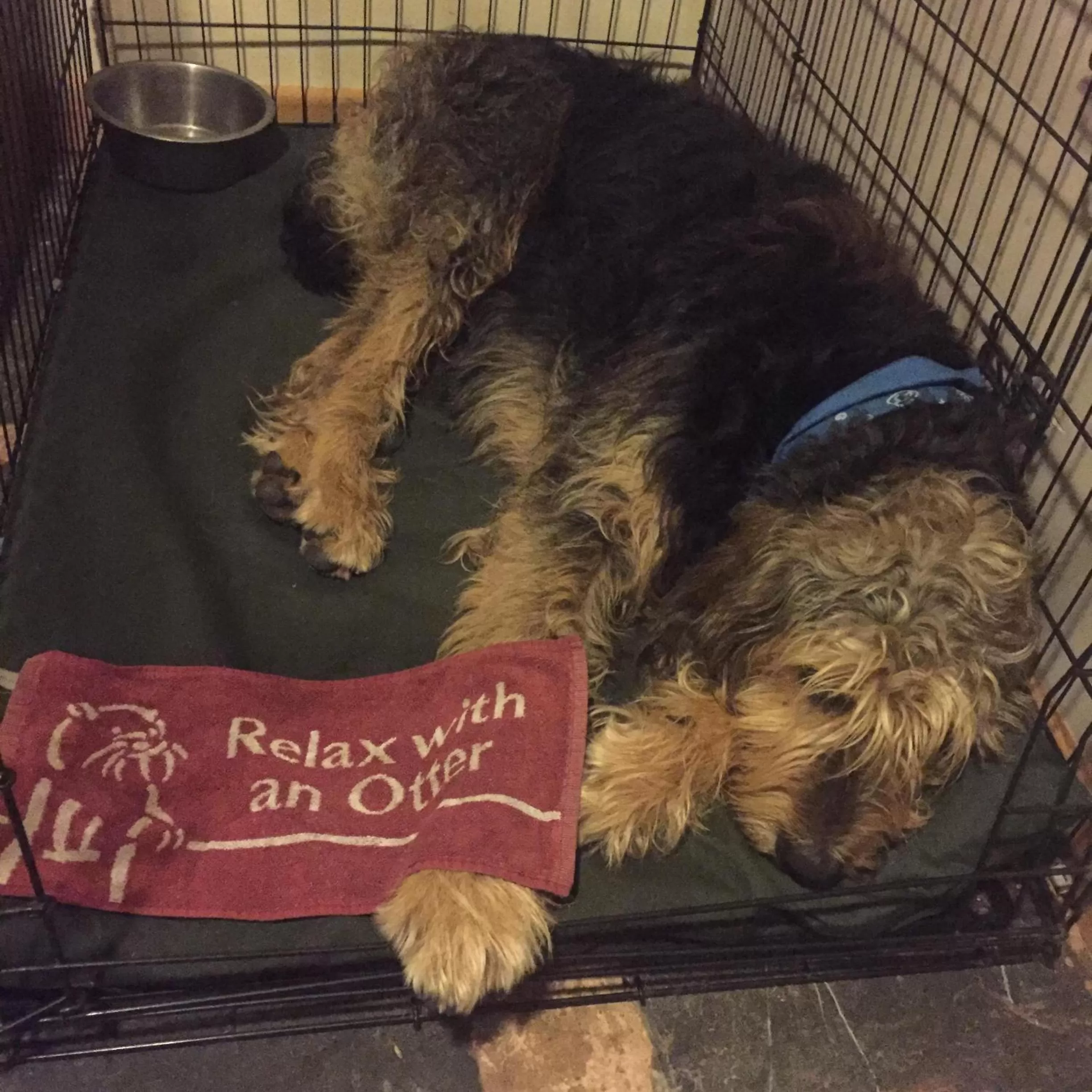 Activities in The Carew Arms