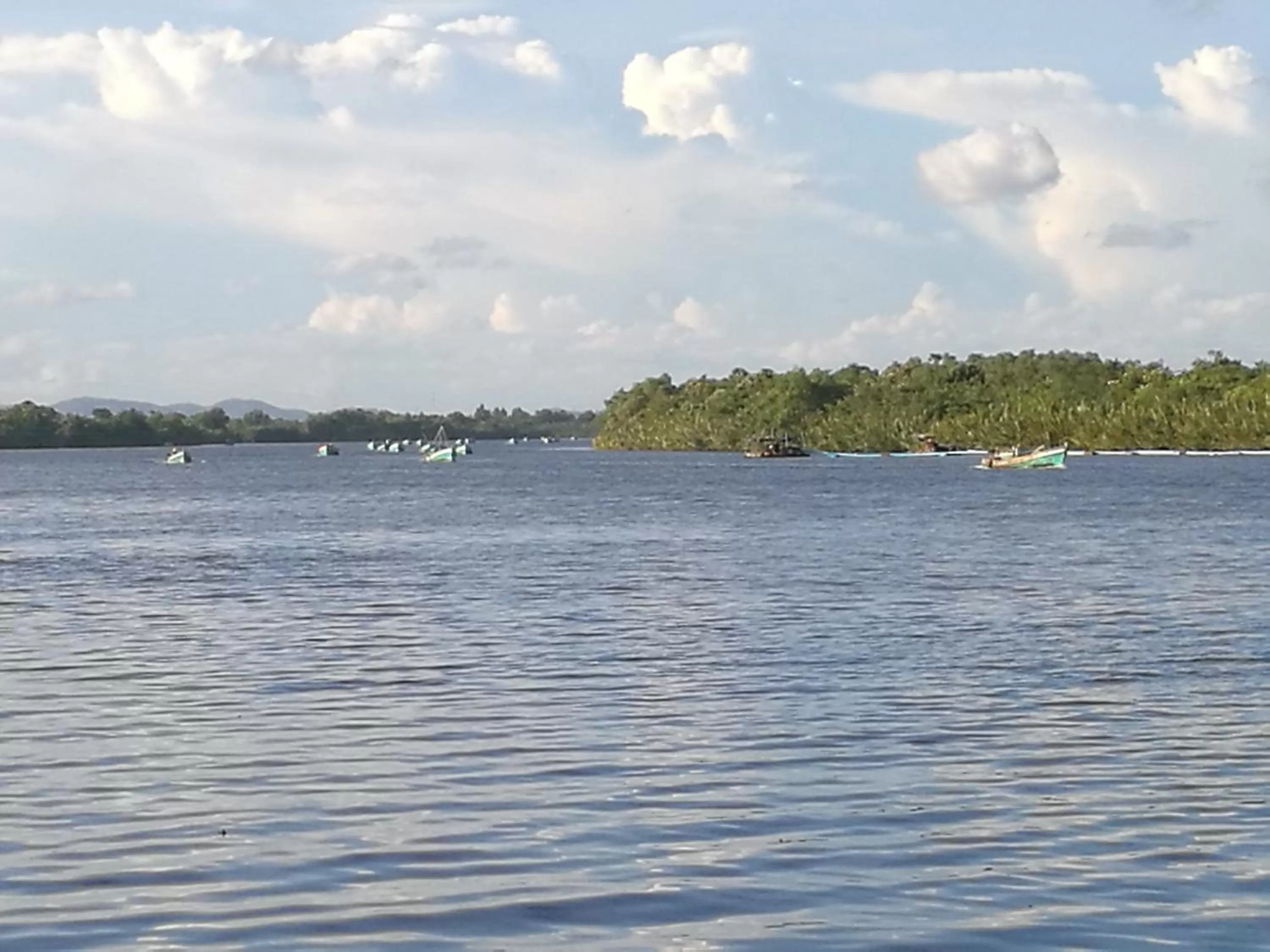 Property building in Bamboo Bungalow
