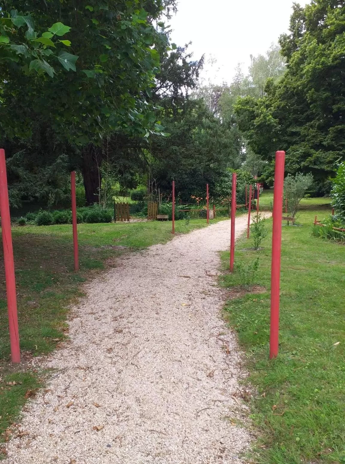 Garden in VILLA LES CAMELIAS