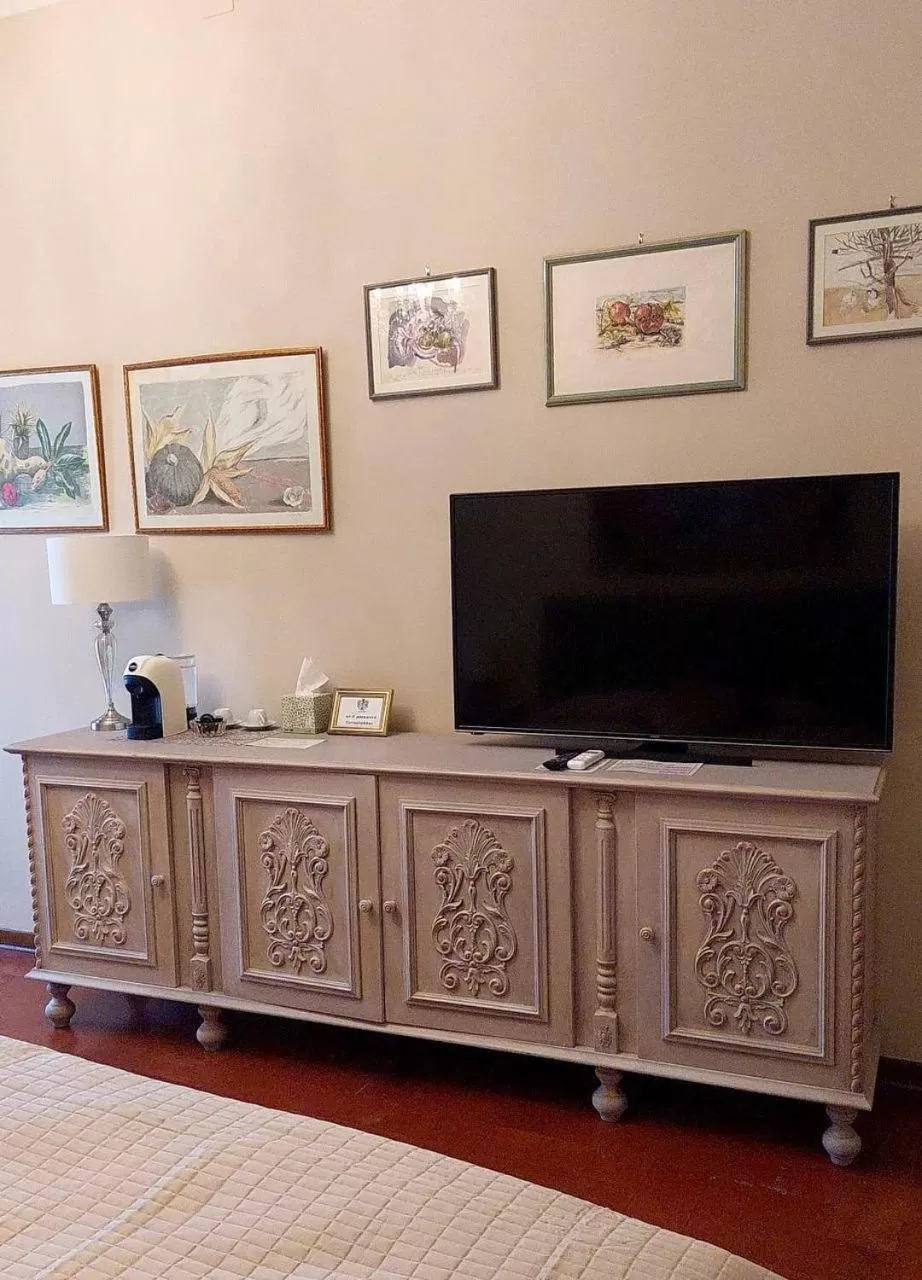 TV and multimedia in Casa Masoli