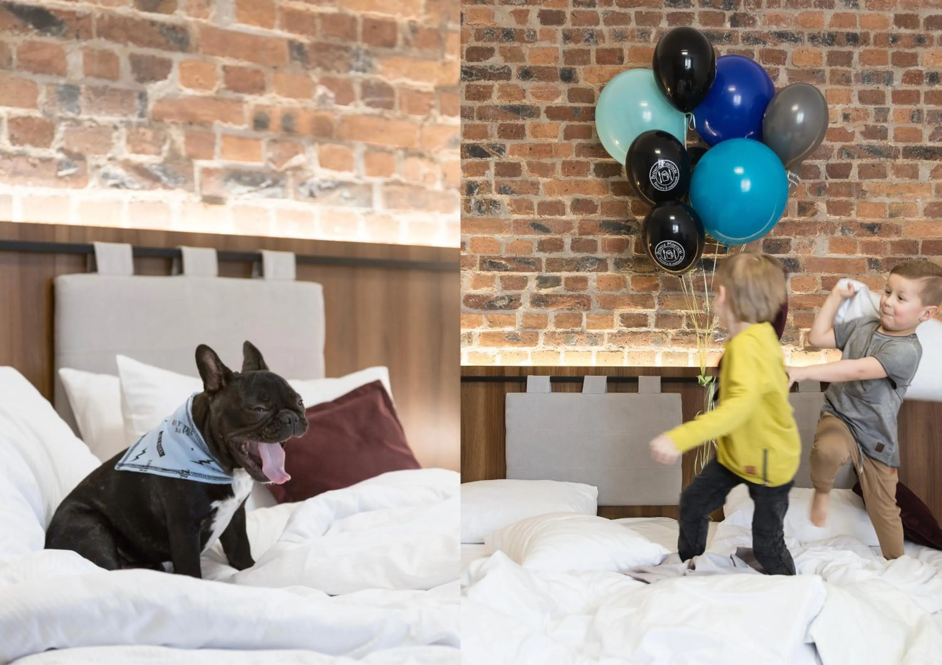 Pets in Best Western Hotel Mariacki Katowice